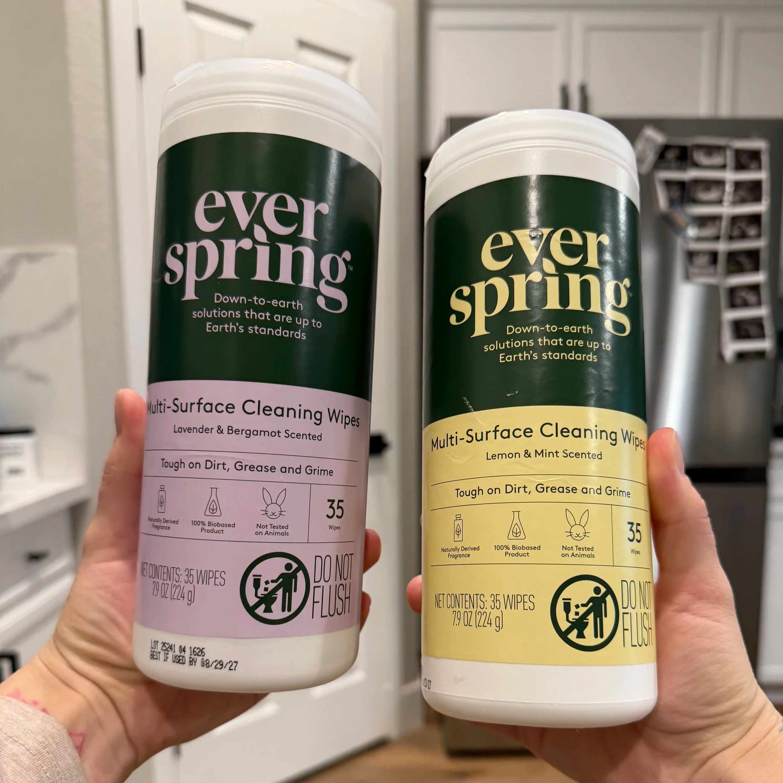 Multi-Surface Cleaning Wipes — Everspring