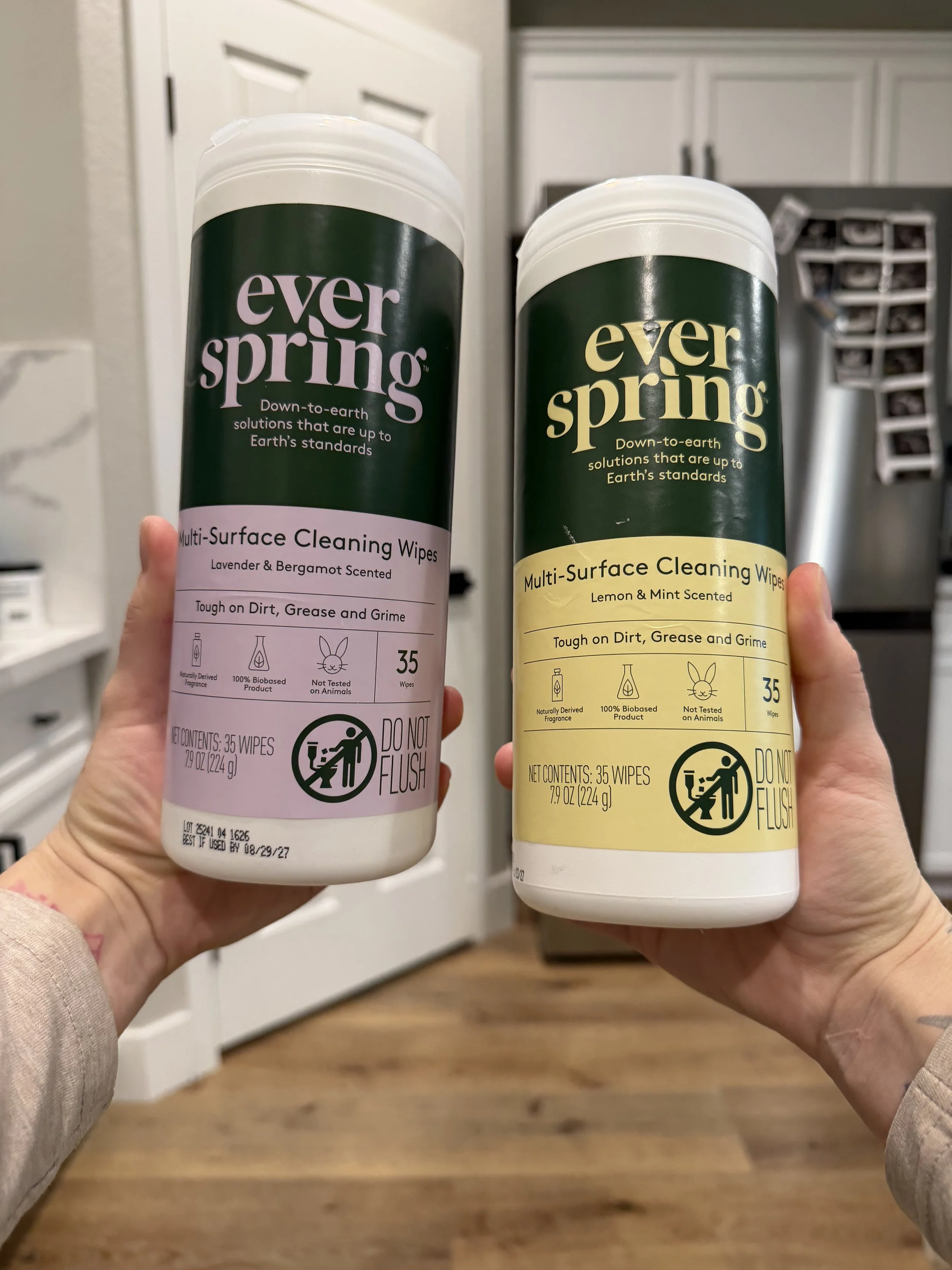 Multi-Surface Cleaning Wipes — Everspring