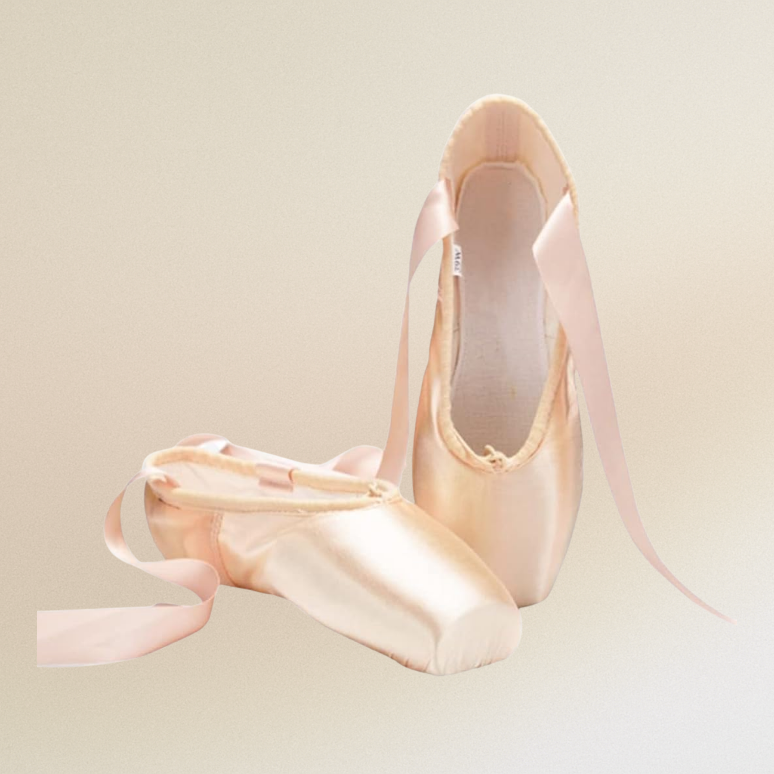 Ballet Shoes