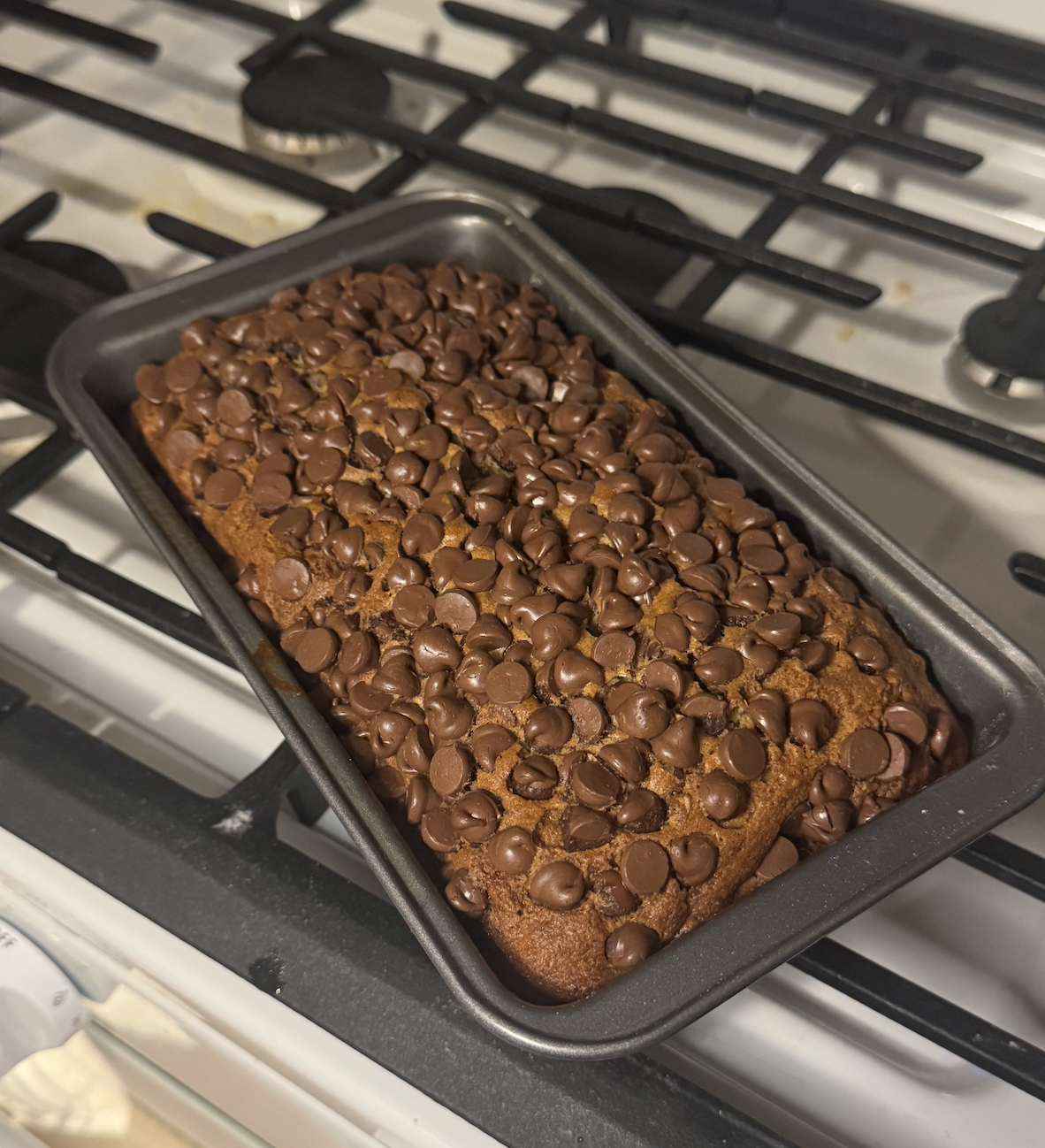 Screenshot 2026-03-02 at 7.33.48 PM.png