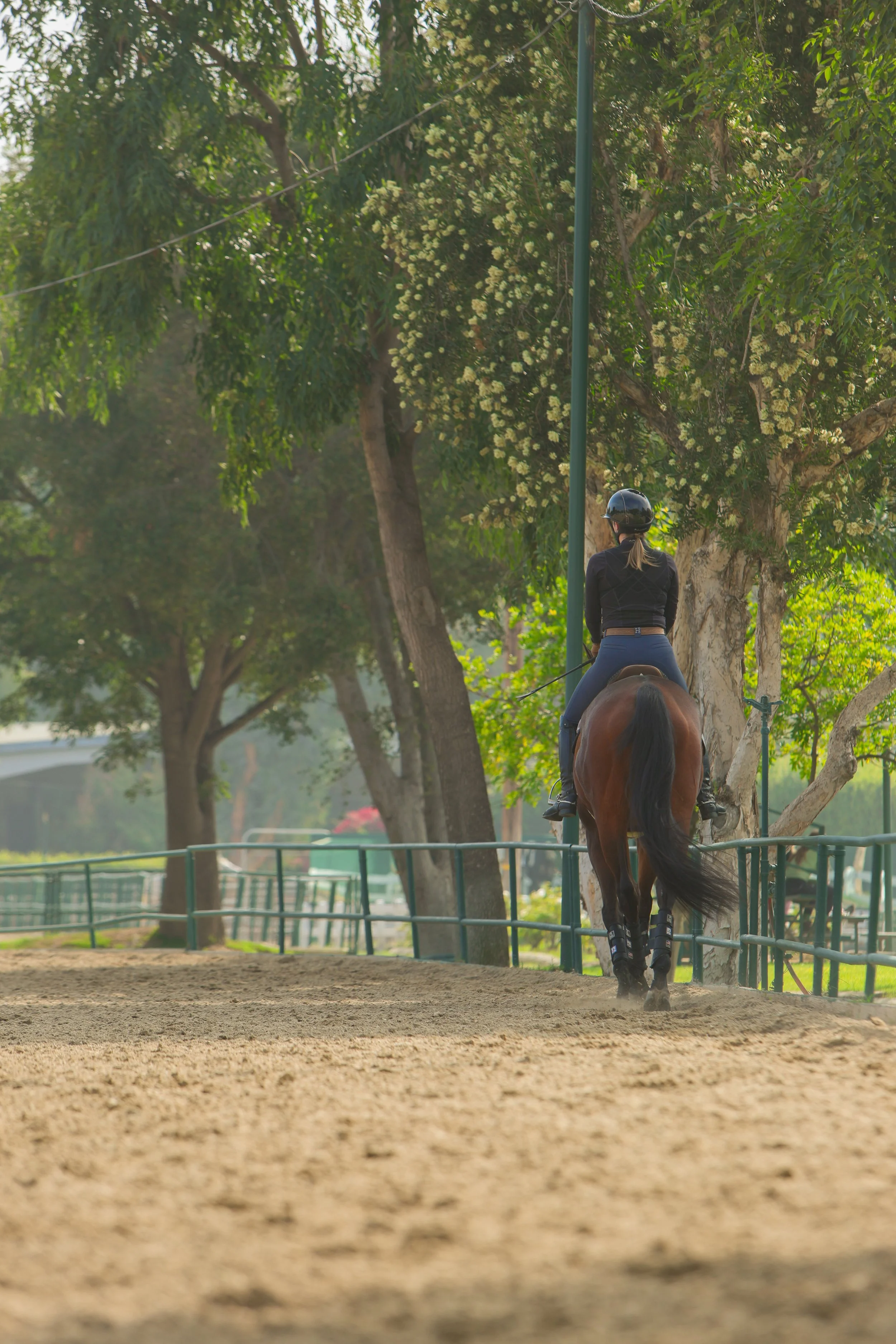 A person riding a horse on a dirt path through a park with green trees and flowers.