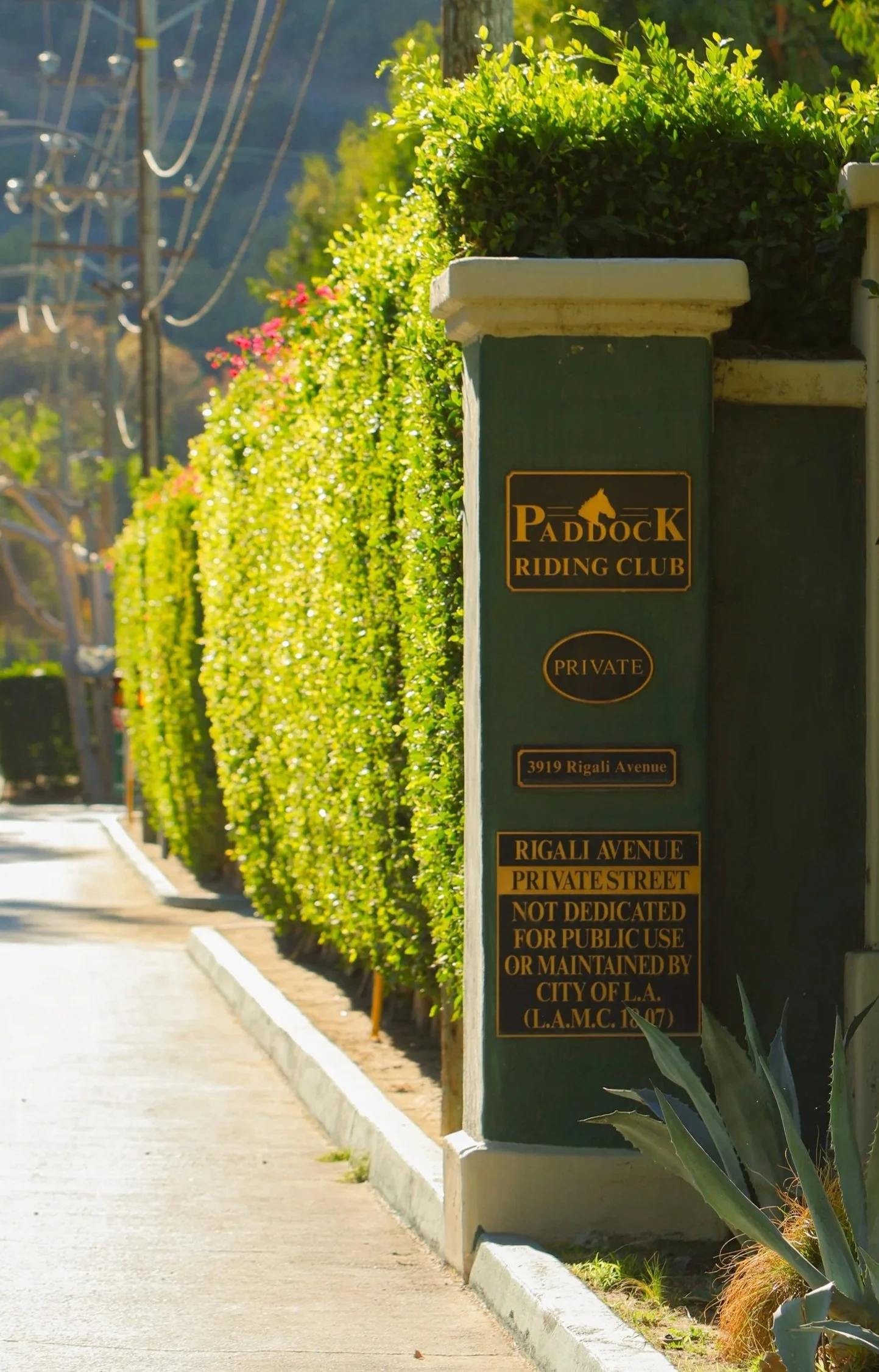 Green sign for Paddock Riding Club on a green pillar, with a hedge and plants beside a sidewalk, in a sunny outdoor setting.