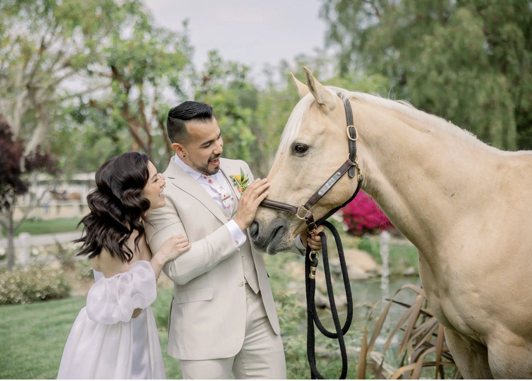 A wedding couple greeting a light-colored horse outdoors in a garden with trees and pink flowers.
