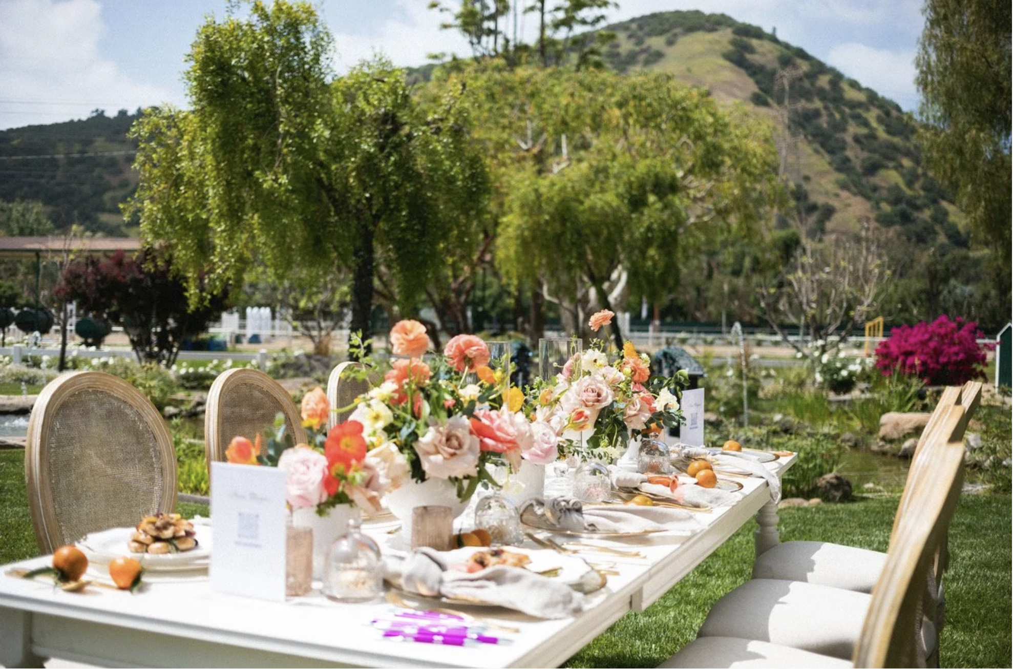 Outdoor dining table with floral centerpieces, place settings, and decorative items, set in a lush garden with trees and hills in the background.