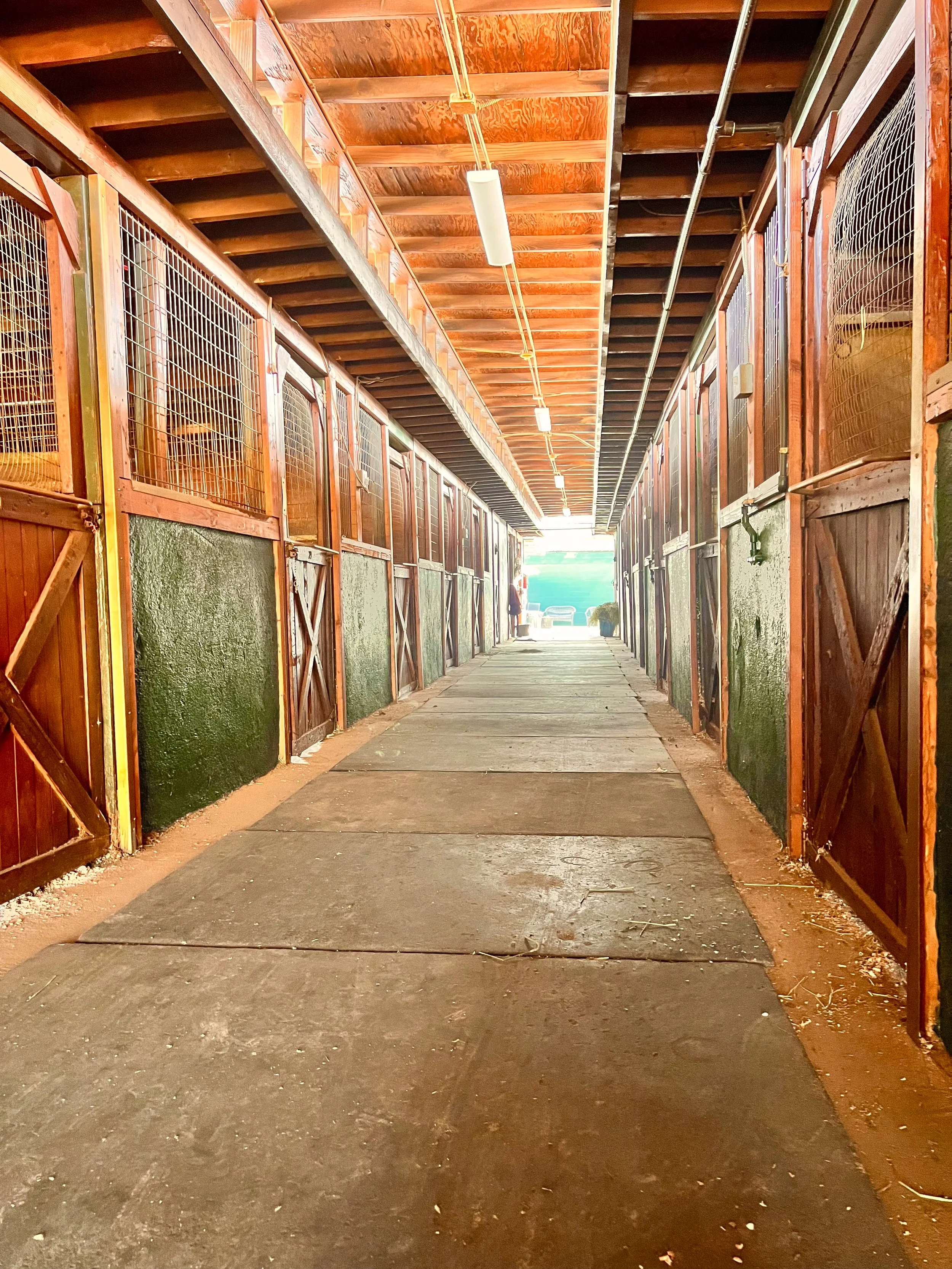 Inside view of a stable hallway with wooden stalls on both sides, a wooden plank floor, and a corrugated metal ceiling with fluorescent lighting.