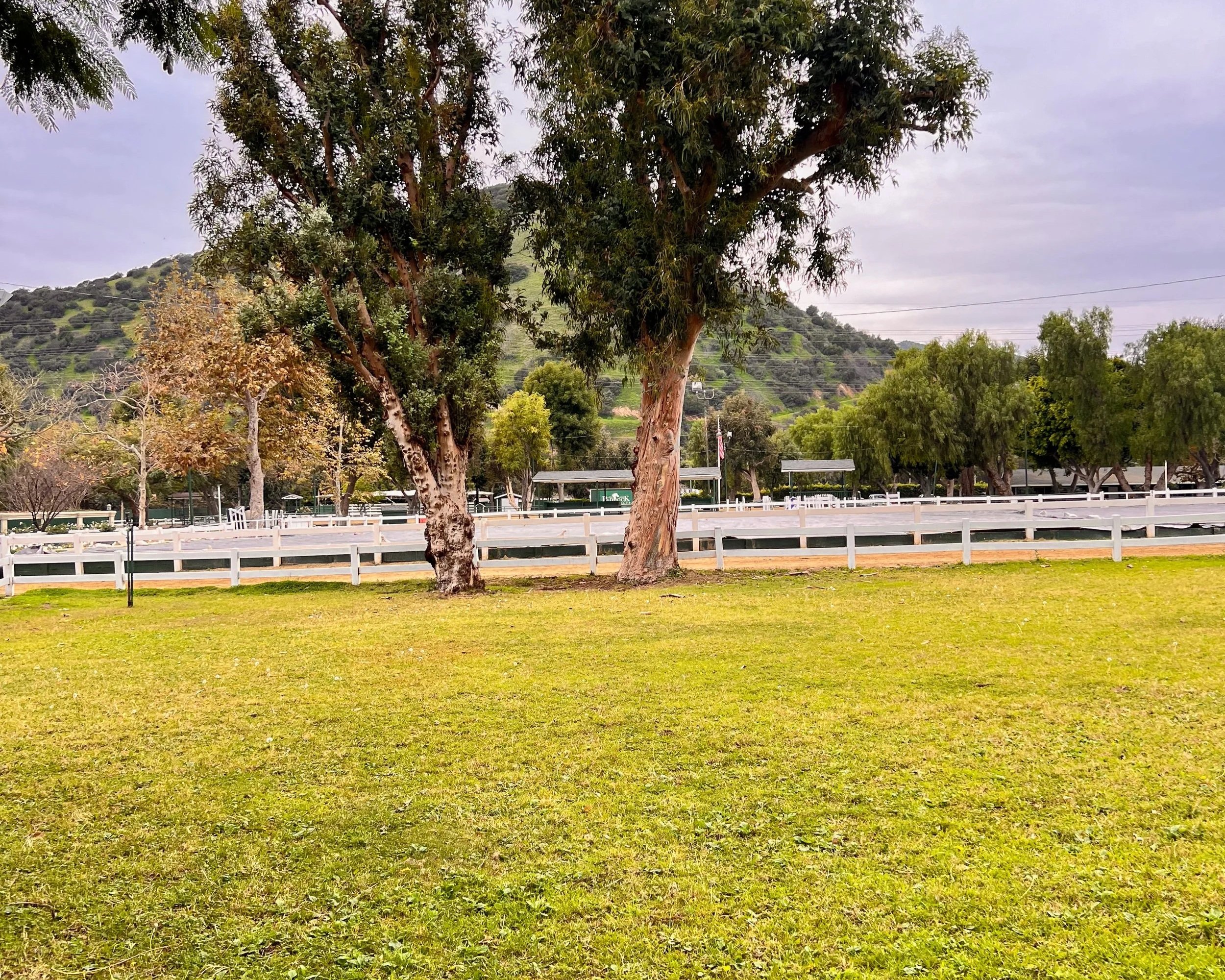 A park with green grass, several trees, and a white fence, with a hilly background and cloudy sky.