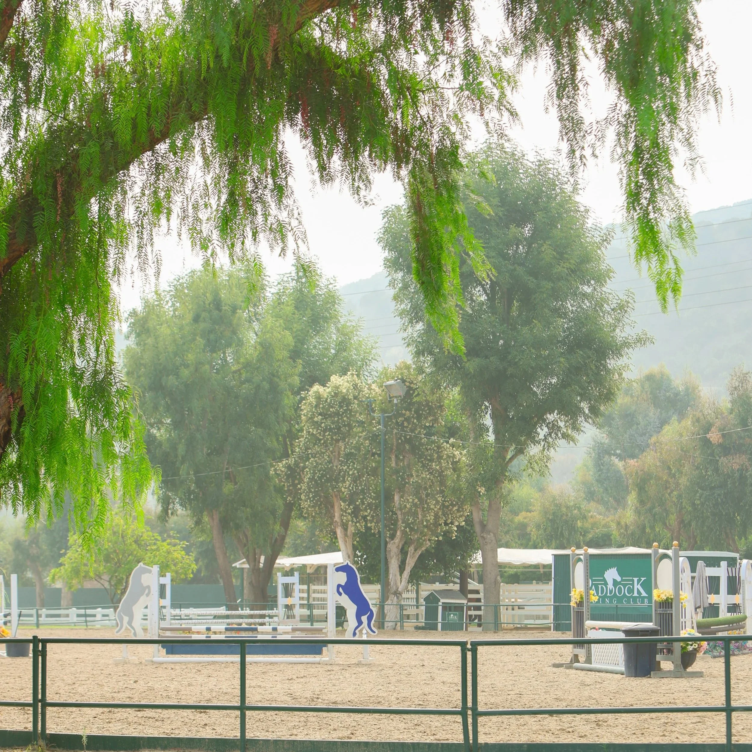 An outdoor horse riding arena with fences, trees, and riding obstacles, labeled 'Addock Riding Club'.