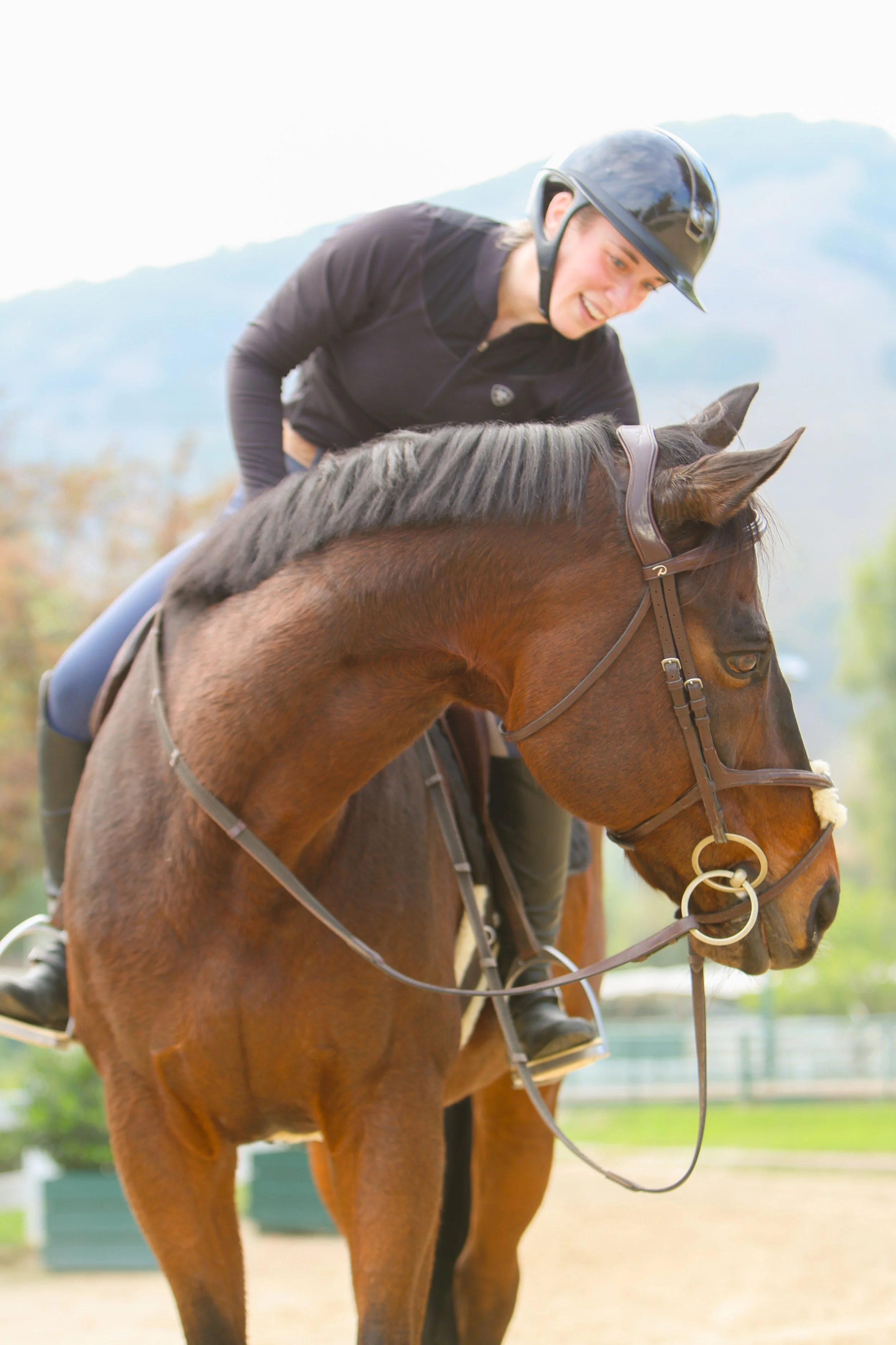Paddock Riding Club THE PADDOCK RIDING CLUB | Discover Equestrian Excellence – Join Us Today