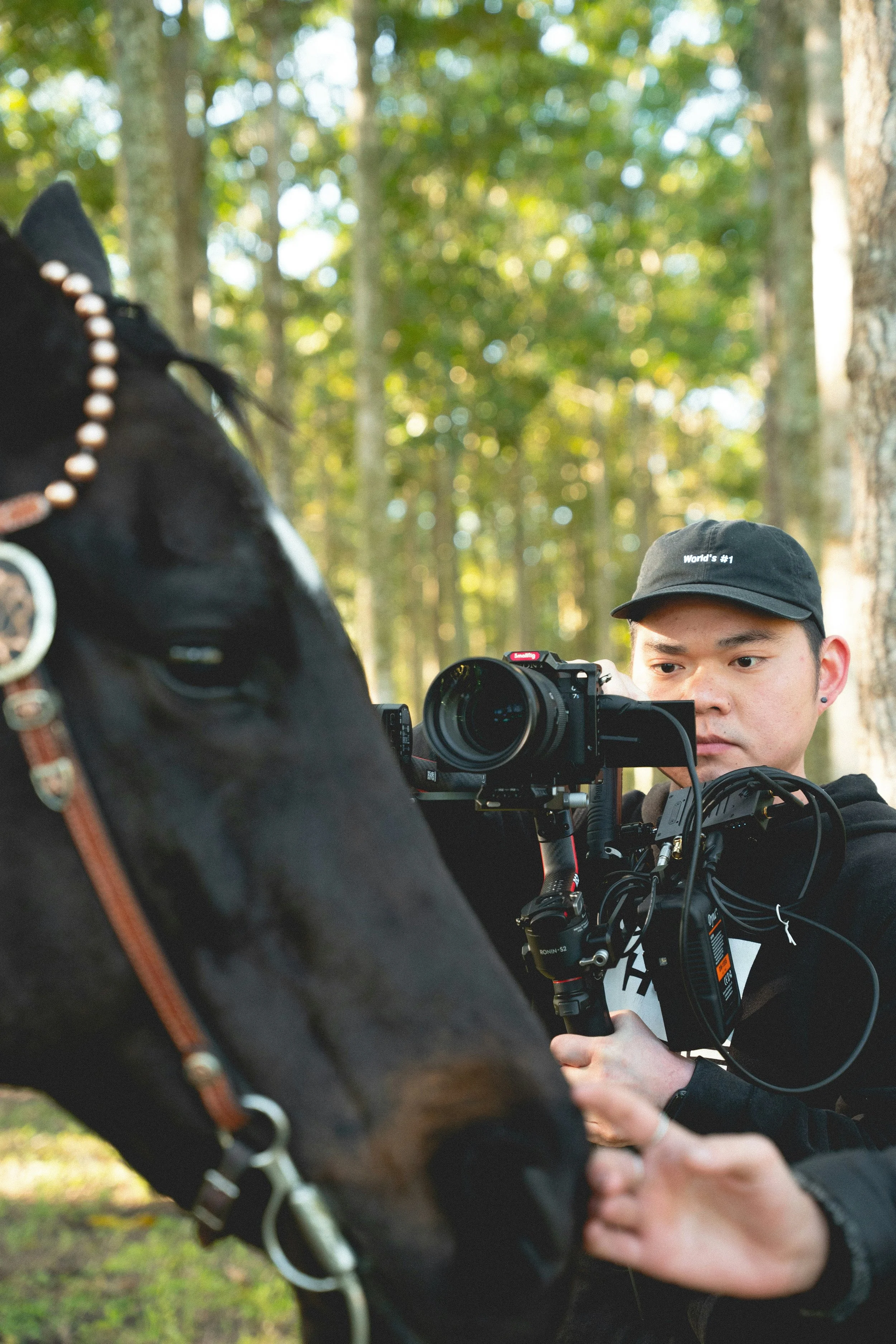 Young man filming a horse with a professional camera at a luxurious equestrian facility and horse barn