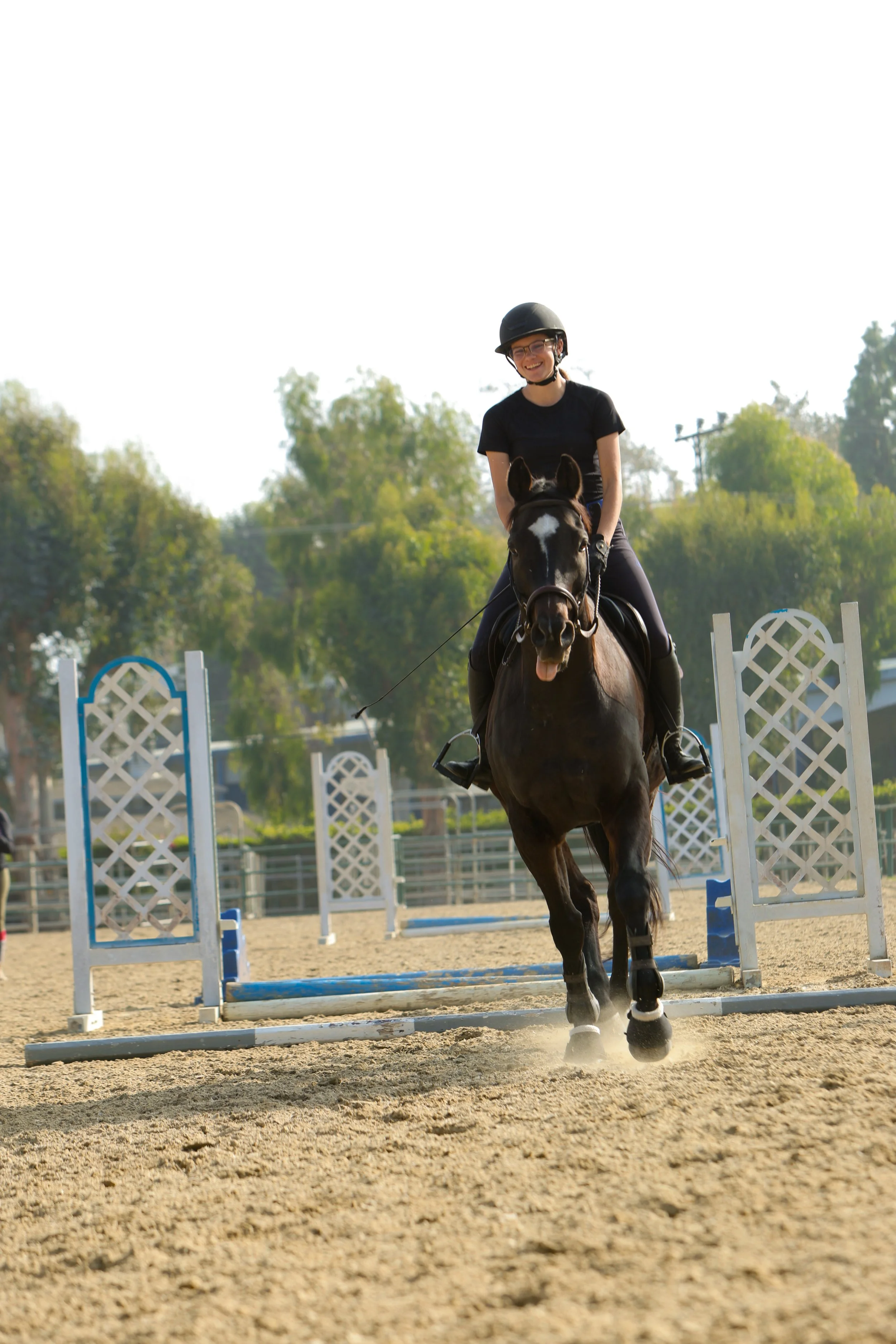 How to Choose the Right Horseback Riding Lesson Program in Los Angeles.