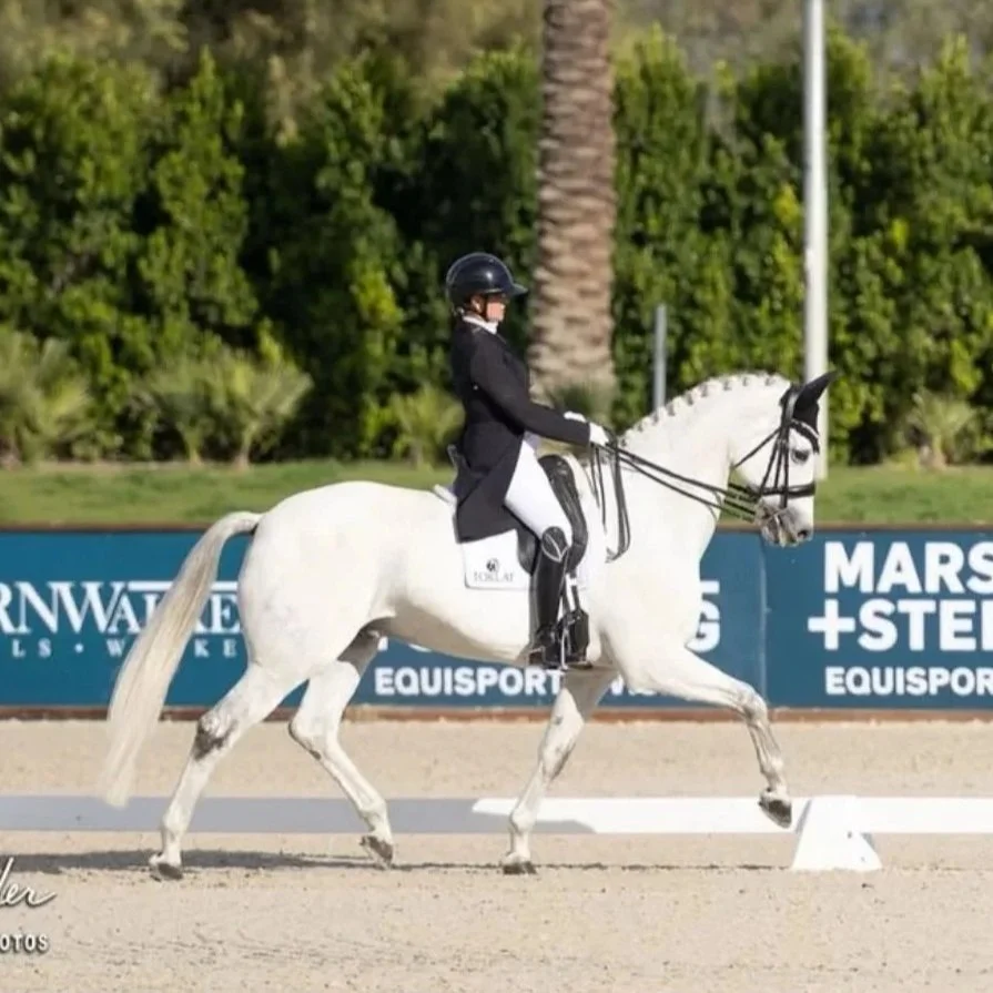 A person riding a gray and white horse during a horseback riding event, wearing a black riding jacket, helmet, and white riding pants.