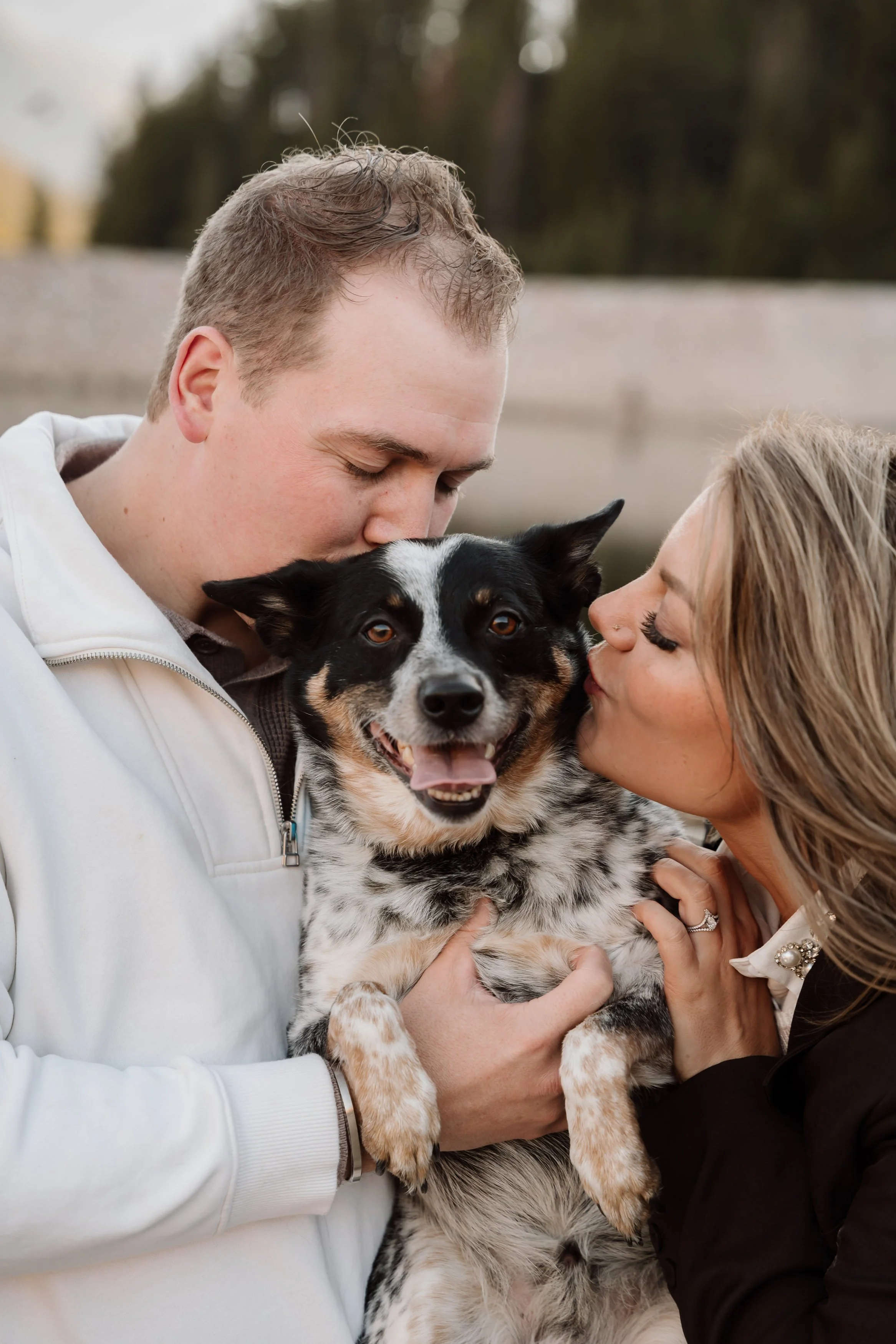 A man and woman are hugging on either side of a black and white Australian Shepherd dog, giving it kisses on the face.