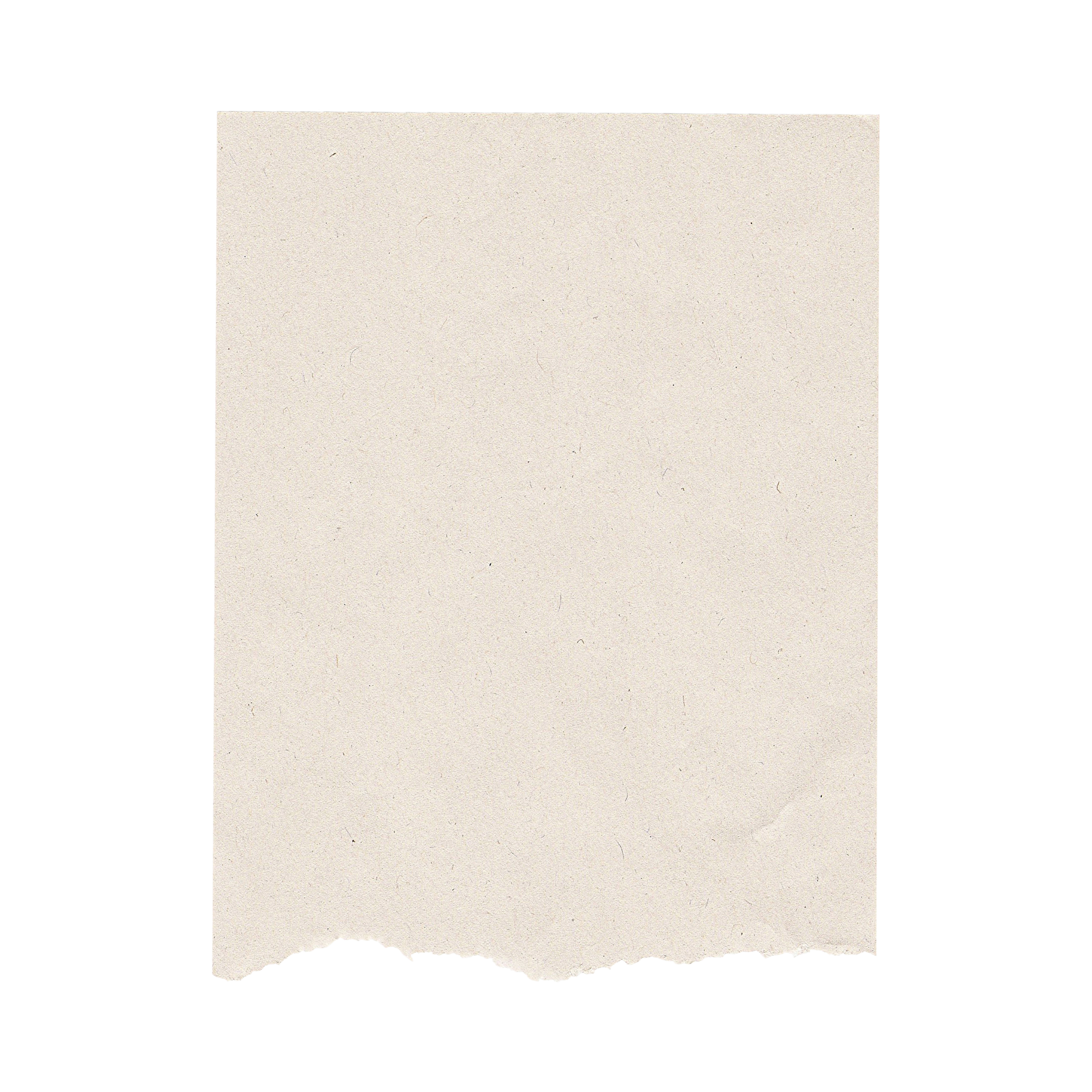 Torn piece of paper with rough edges and textured surface.
