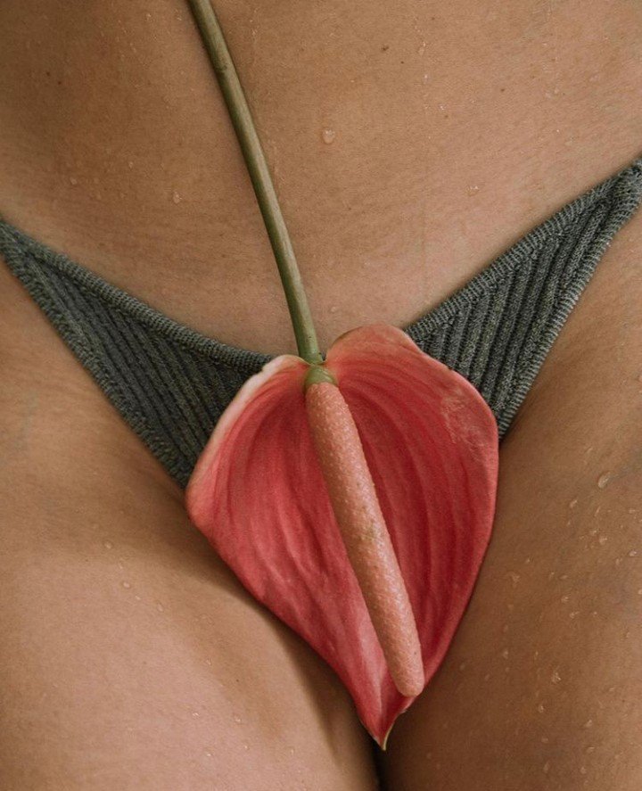 Nutrition for Fertility Support