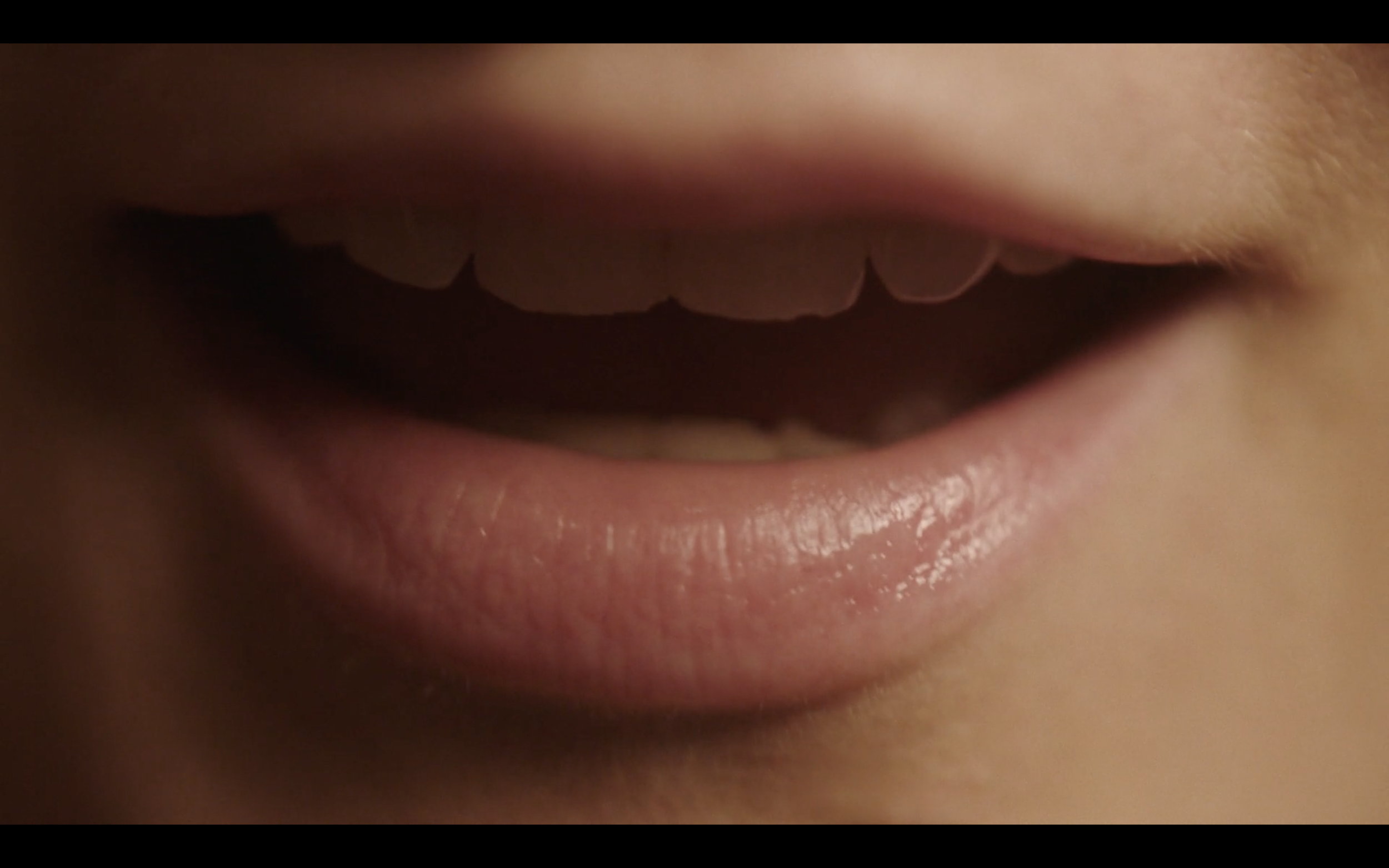 Screen Shot 2020-04-08 at 4.29.54 PM.png