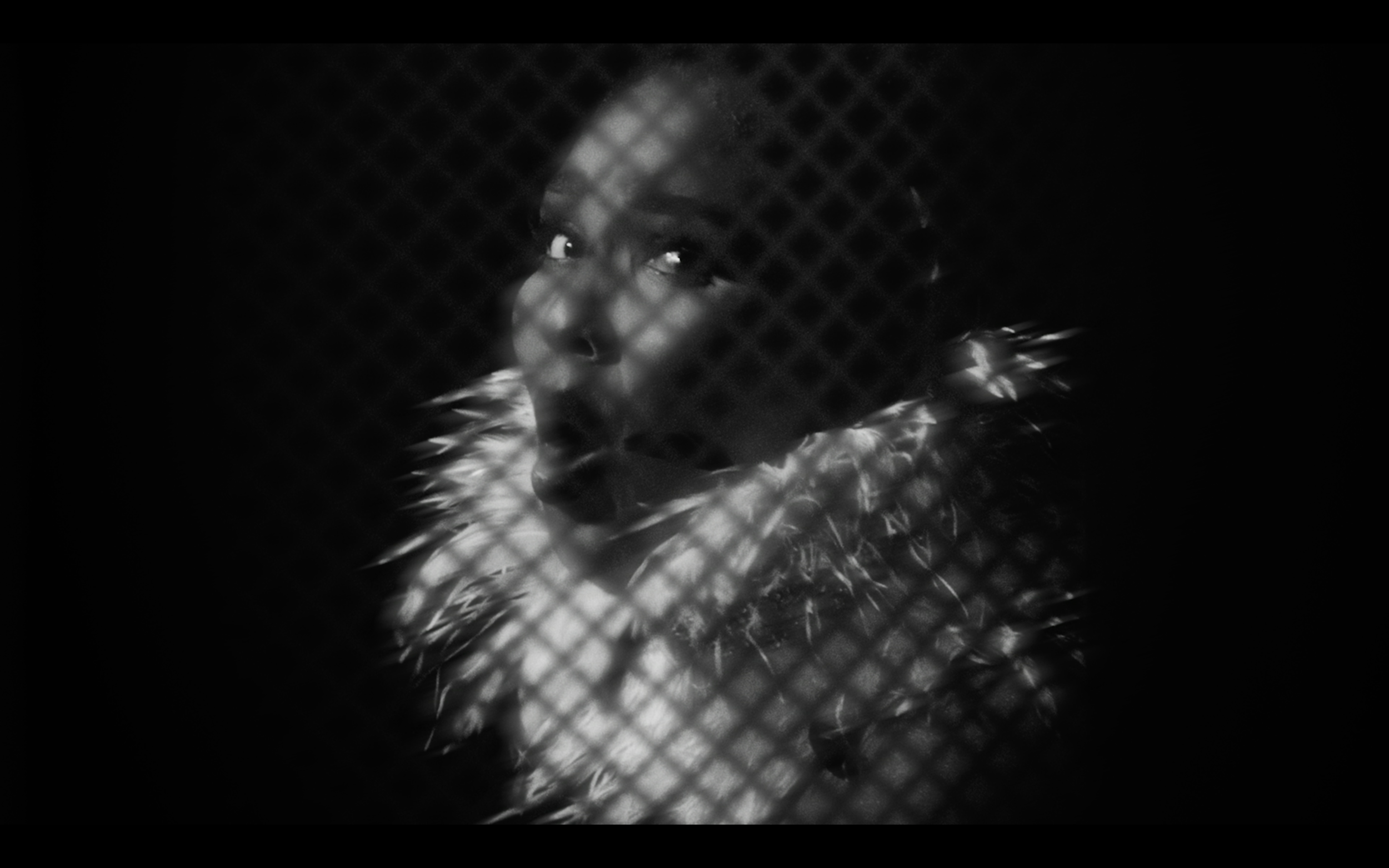 Screen Shot 2019-02-14 at 11.29.30 AM.png