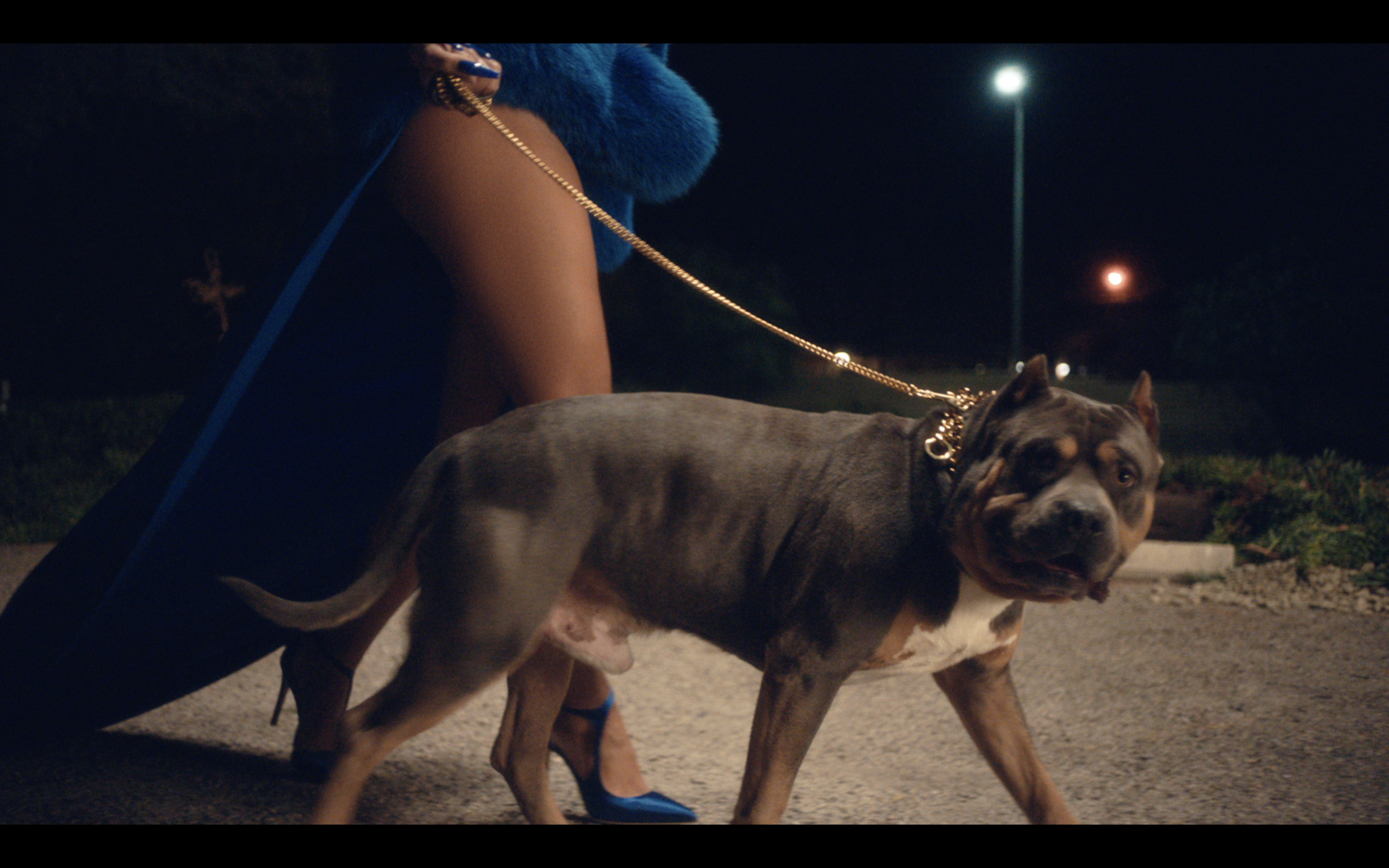 Screen Shot 2020-11-21 at 12.23.23 AM.png