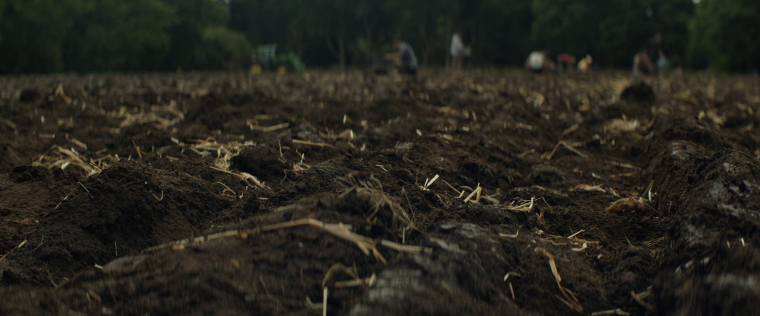 Screen Shot 2019-05-04 at 11.08.23 AM.png