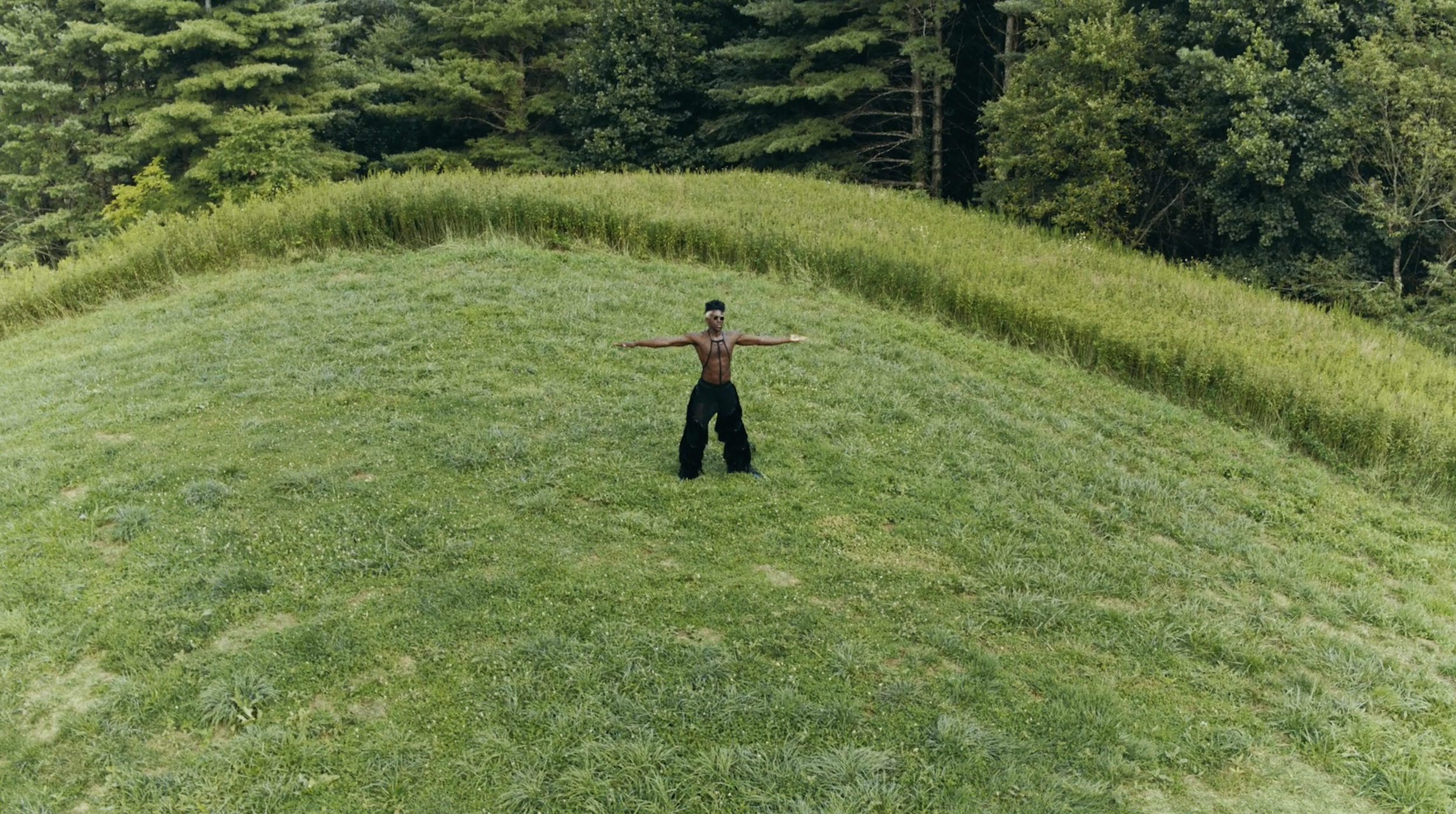 Moses Sumney "Blackalachia"