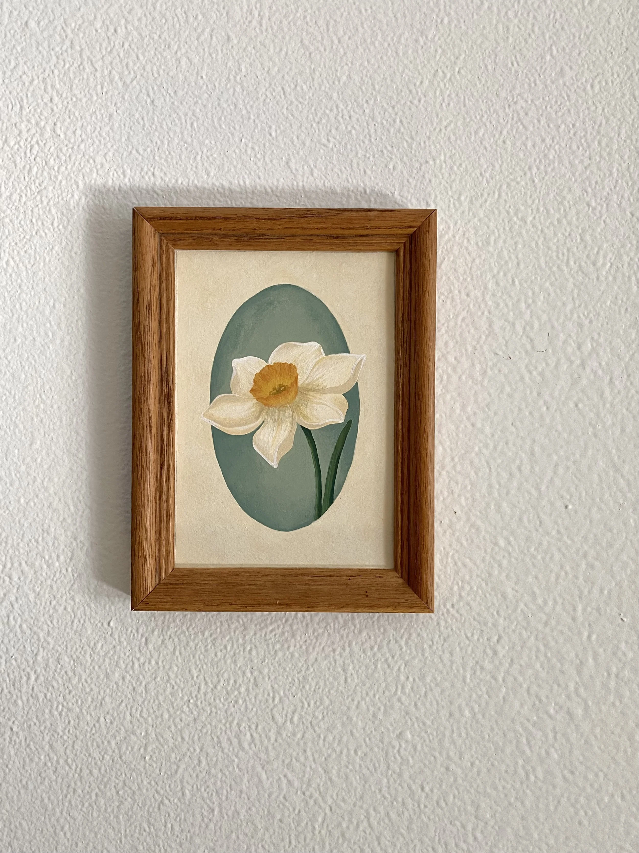 Daffodil in Bloom - Framed Original