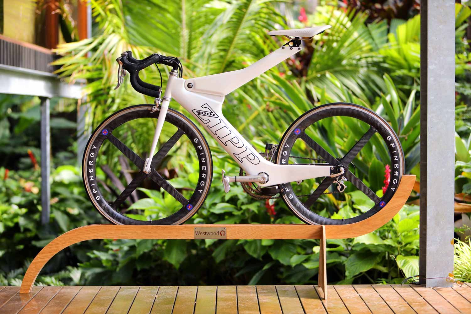 A modern bicycle with black Carbon wheels mounted on a wooden display stand outdoors in a lush green garden.