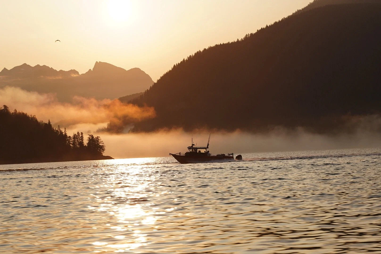 Silhouette of a boat on a misty ocean with mountainous background at sunrise with a bird flying above.