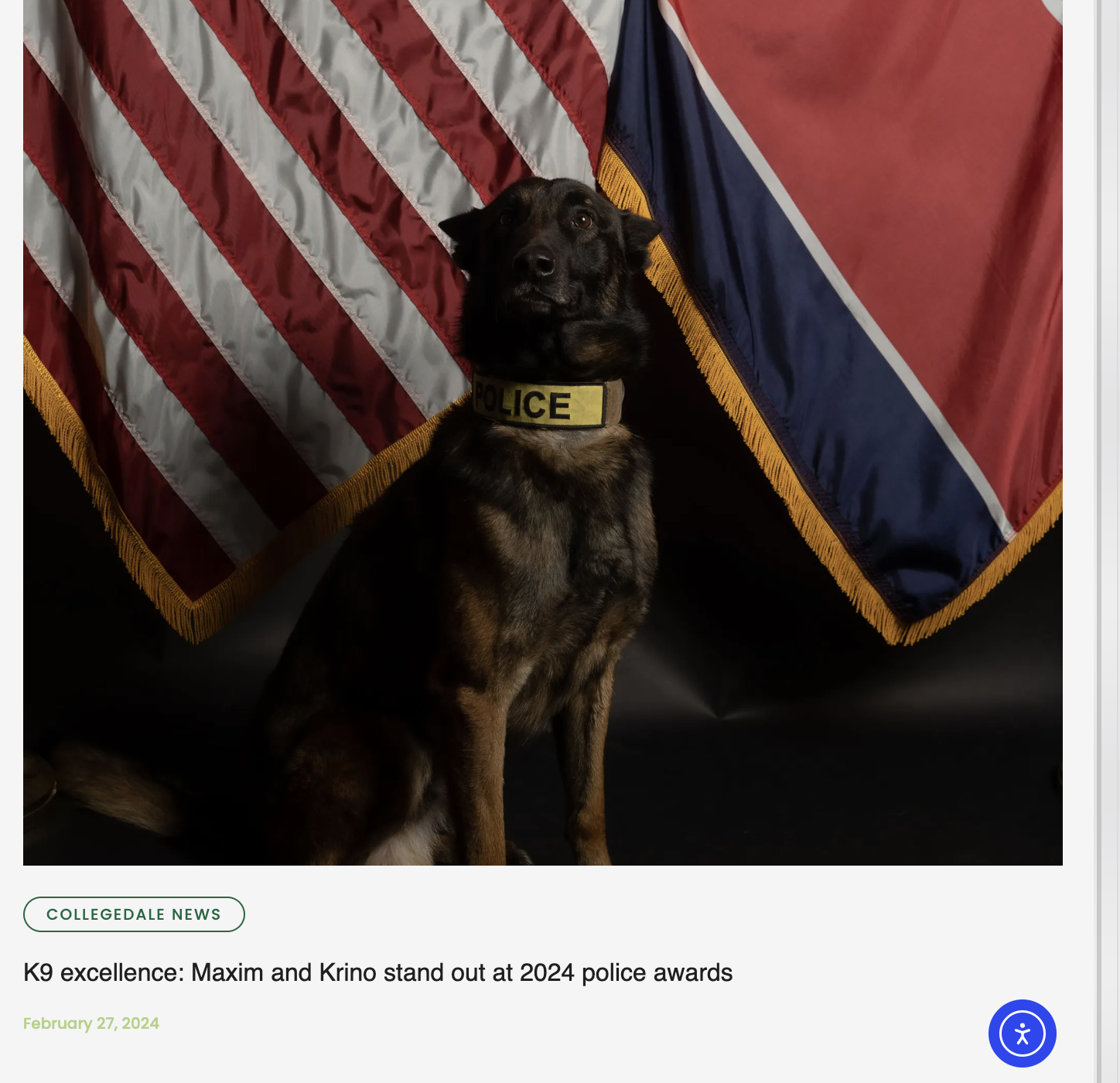 A police dog wearing a yellow collar with the word "POLICE" on it, sitting in front of a backdrop featuring an American flag and a school flag.