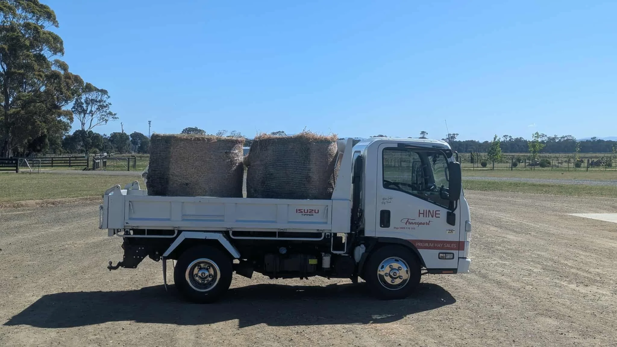 A white Isuzu flatbed truck with hay bales in the back, parked on a dirt area in a rural setting with fields, trees, and a bright blue sky.