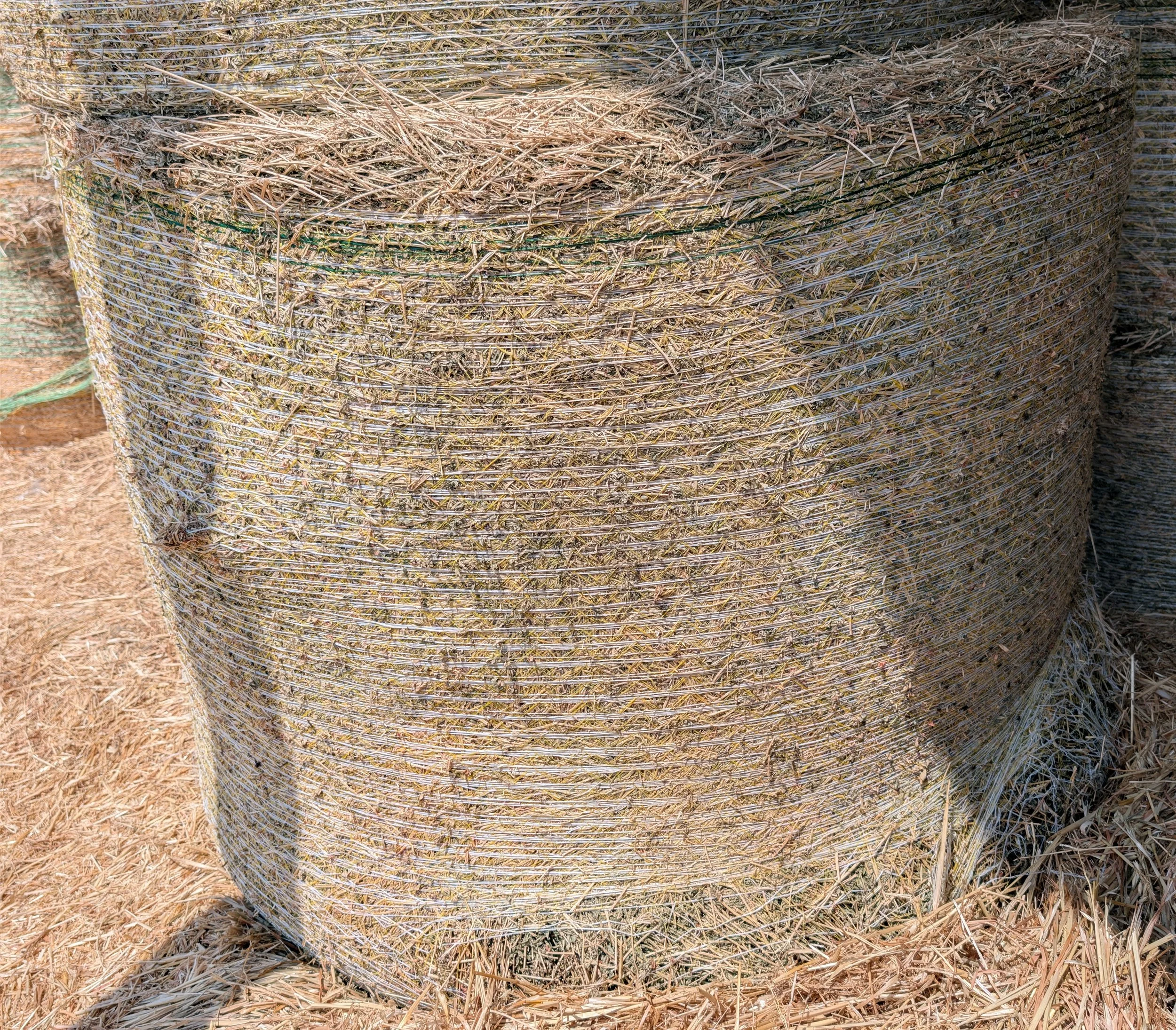 Lucerne round - Inside