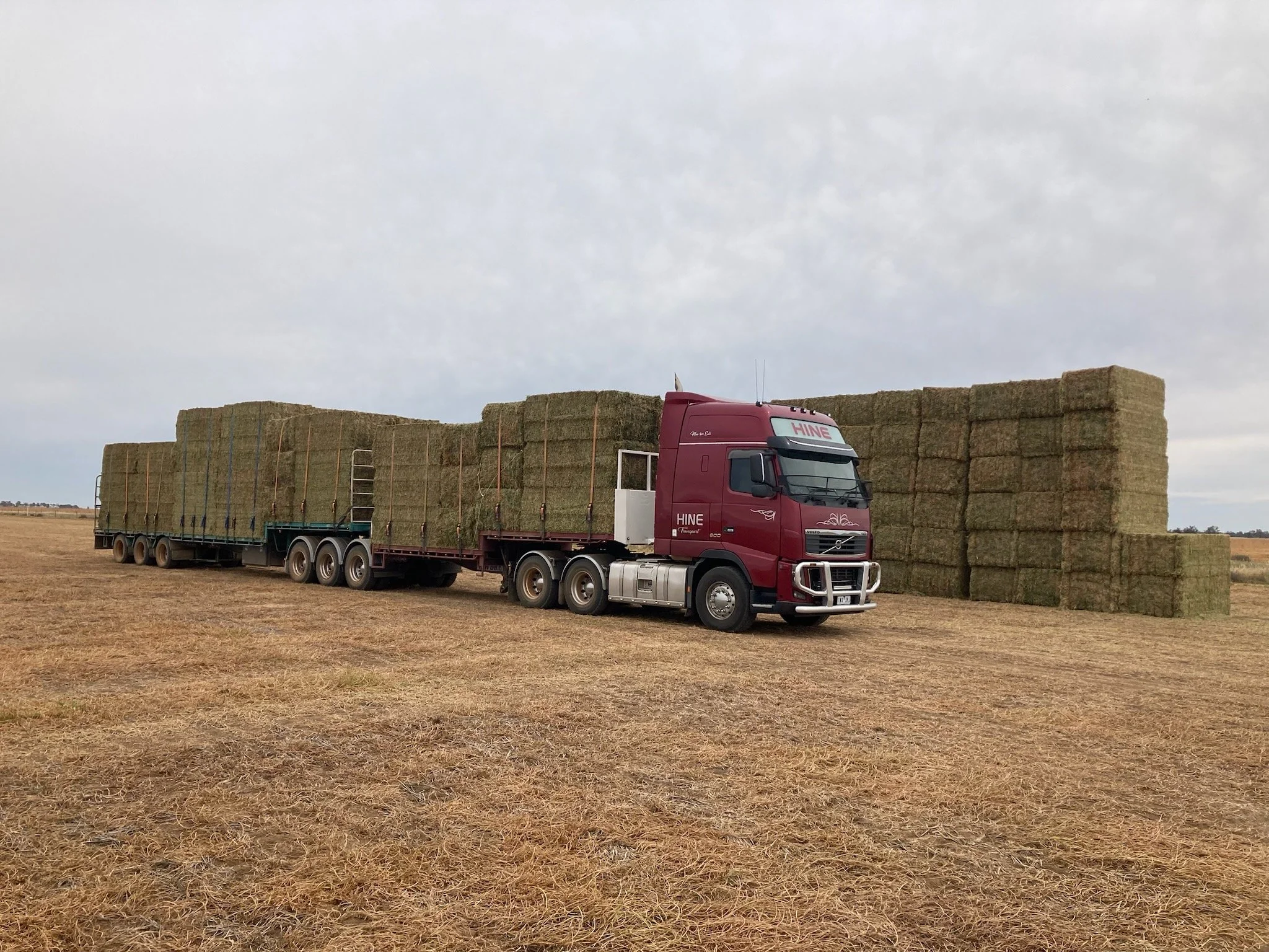 A red semi-truck with multiple axles, labeled 'HINE,' is parked on a brown, dry field under a cloudy sky. The trailer is loaded with large stacks of hay bales.