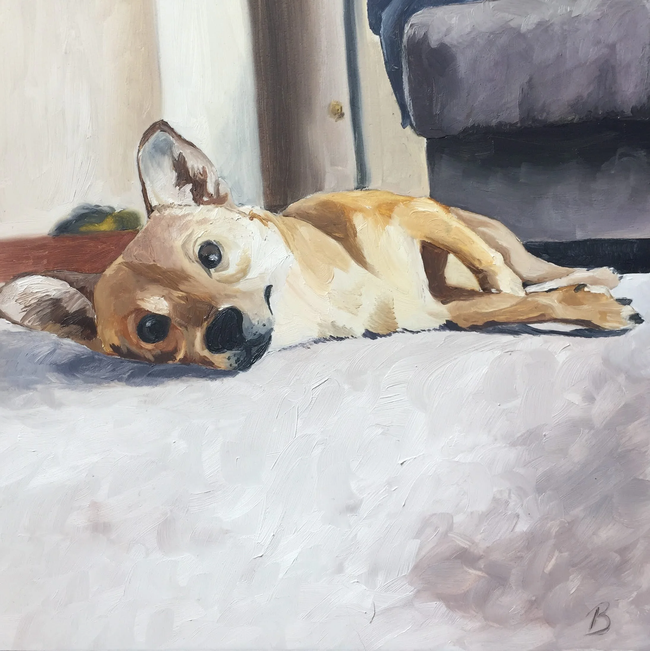 Hans, 10 x 10, Oil on Wood Panel