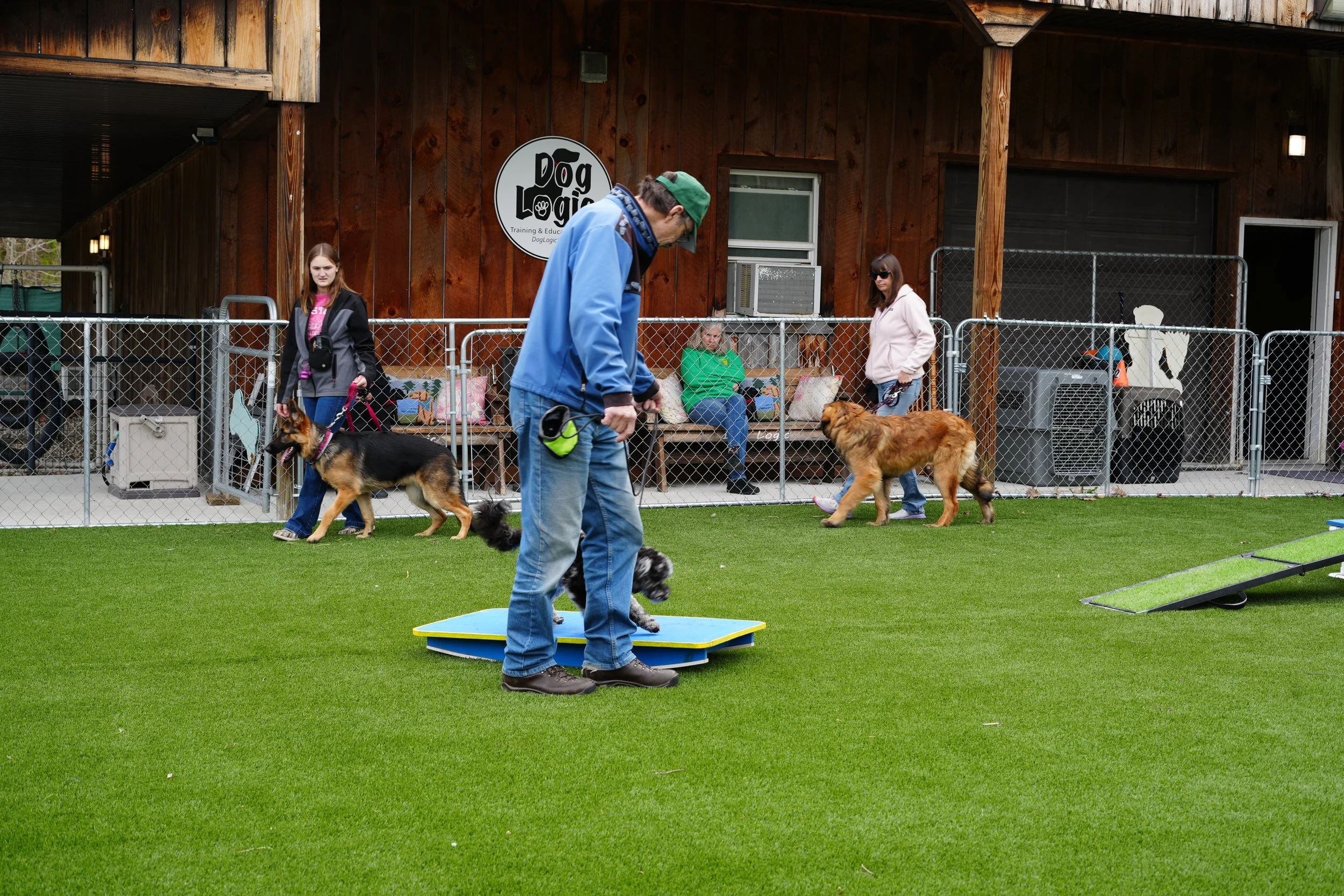 Several people, including a man and women, are caring for dogs inside a fenced area at a dog training facility. One small dog is standing on a platform, and a woman is holding another dog nearby.