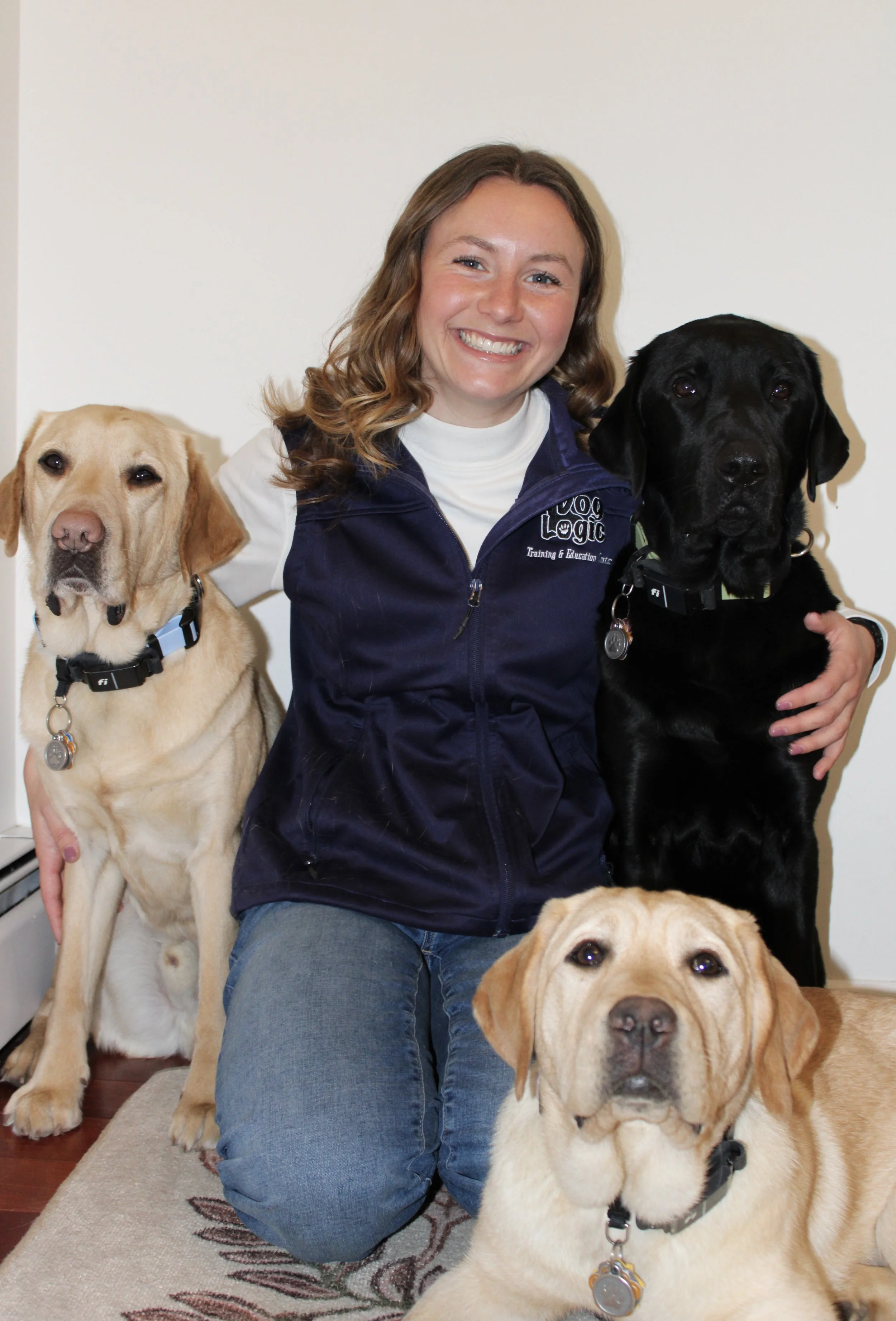A woman with long brown hair smiling and sitting on the floor surrounded by four Labrador retrievers, three yellow and one black, indoors with a white wall background.