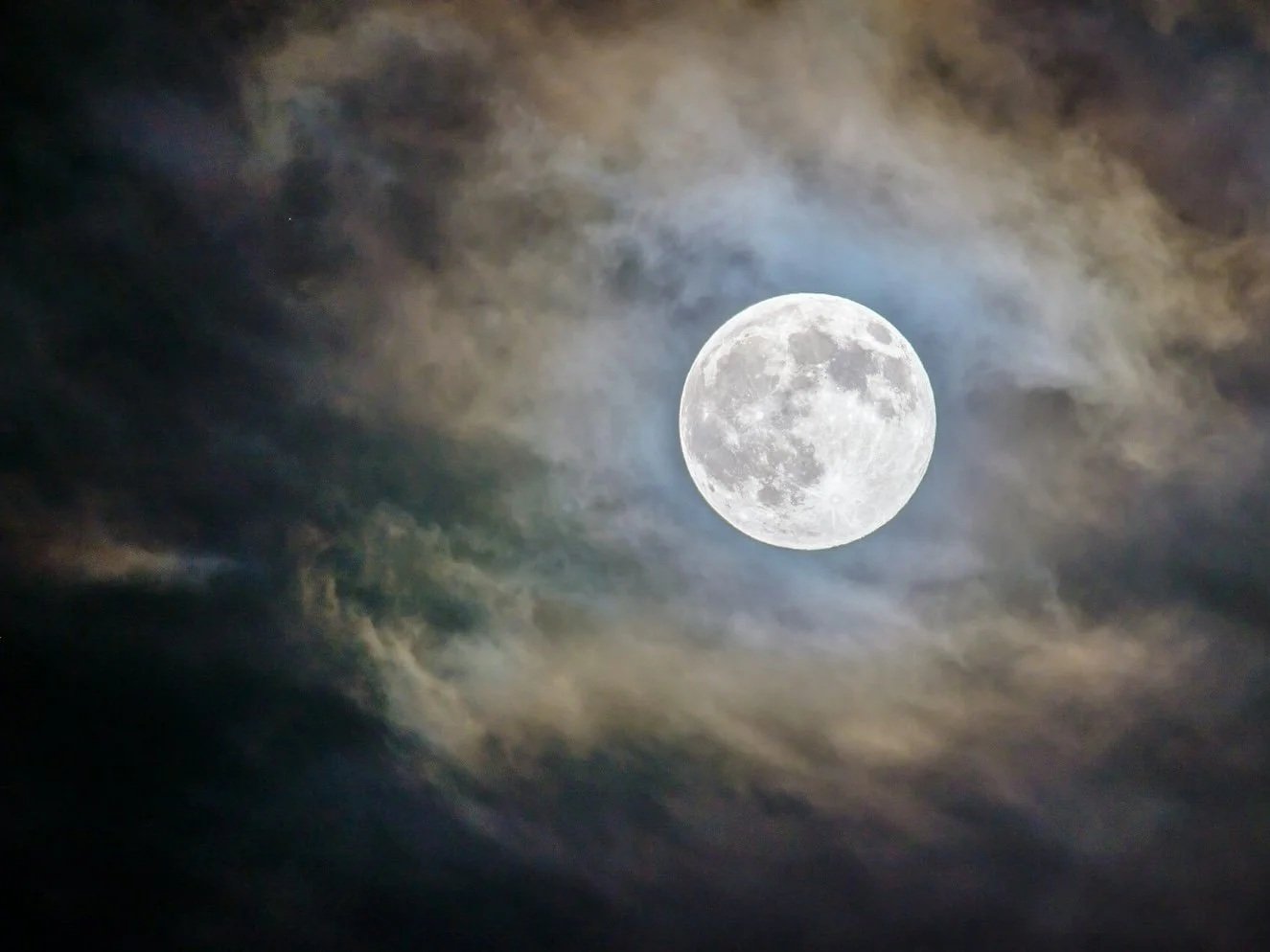 Reason and Intuition