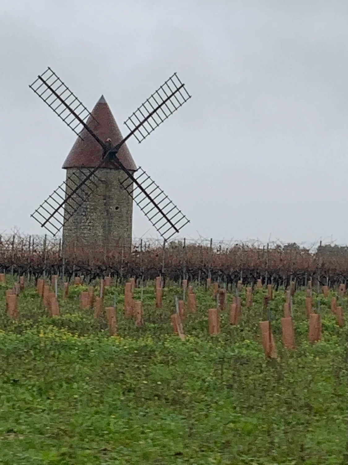 Around and About Maison Les Buis - 5.jpeg