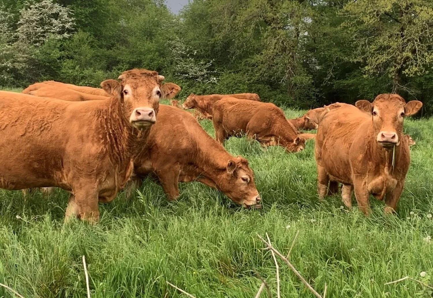 Around and About Maison Les Buis - 6.jpg