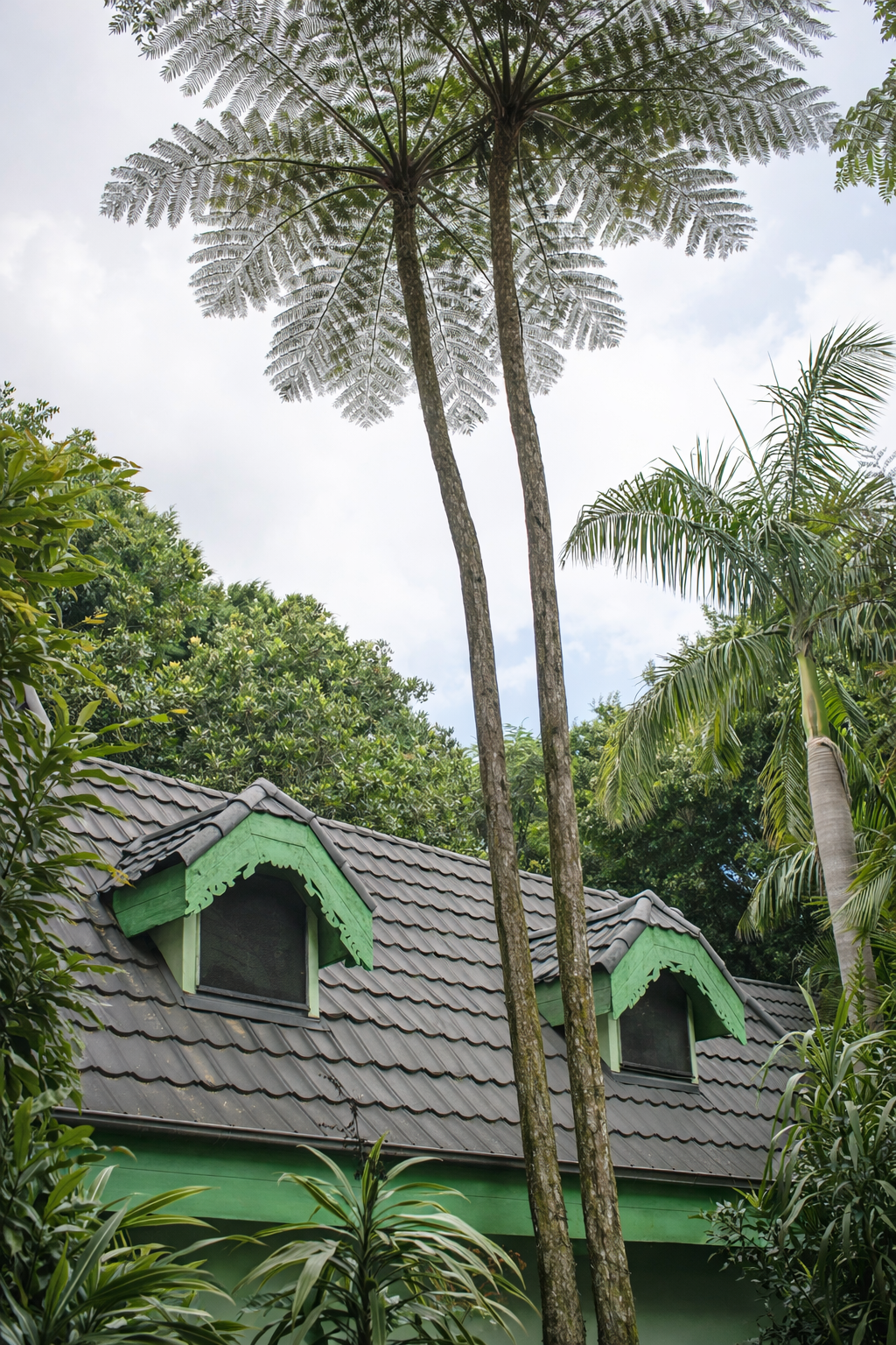 ChatGPT Image Jan 30, 2026, 03_50_01 PM.png