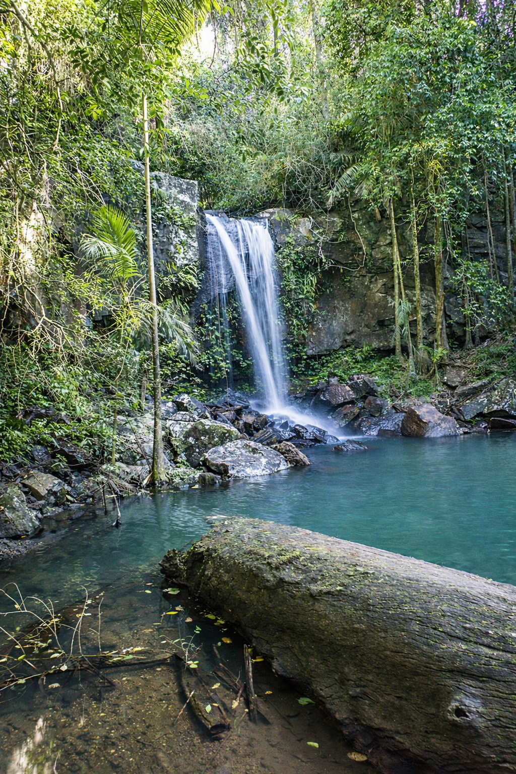 Curtis Falls, Tamborine Mountain