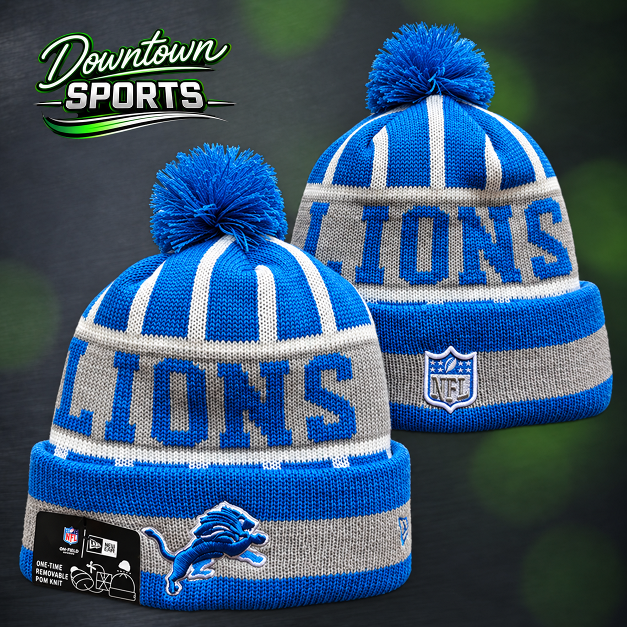 lions 11.png