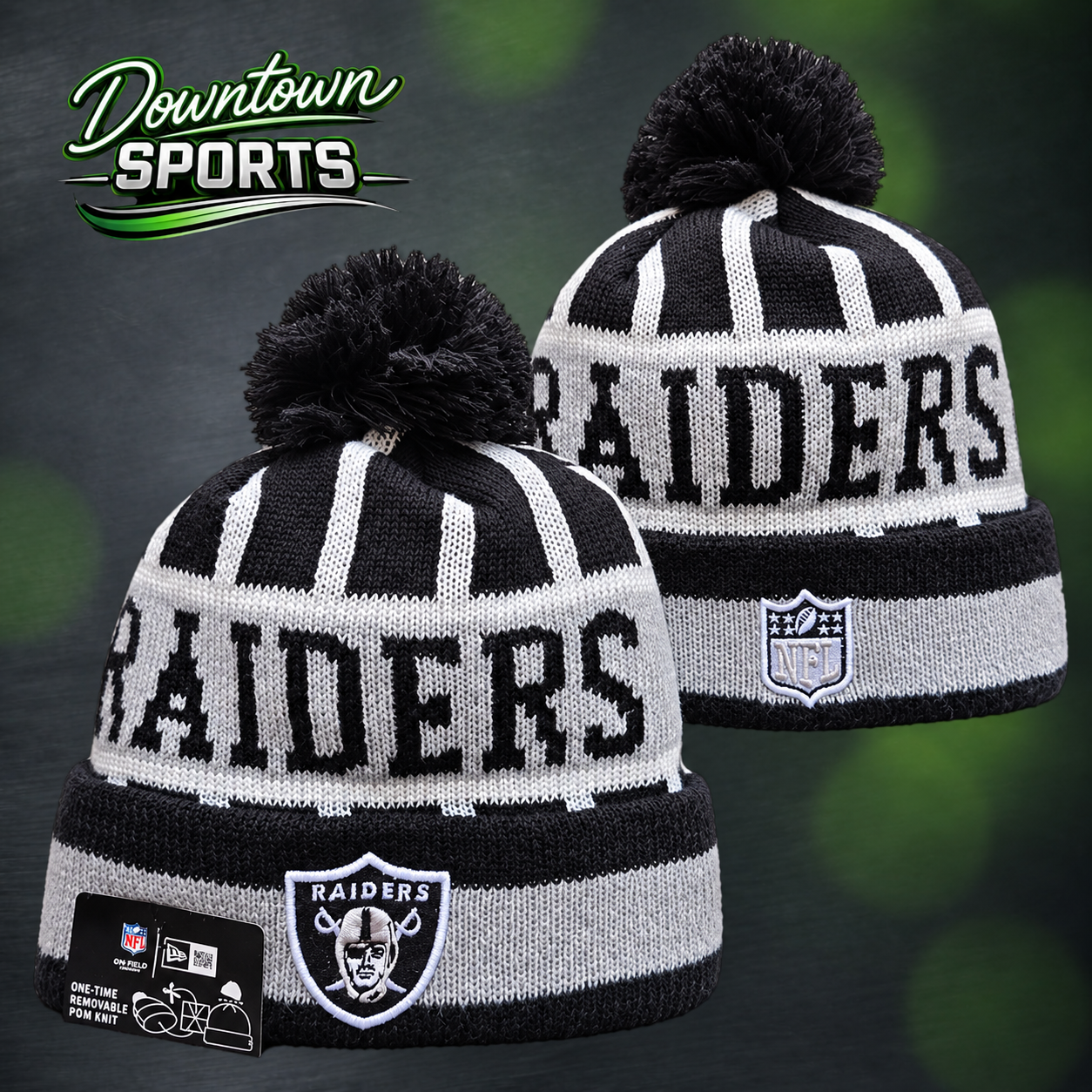 raiders 4.png