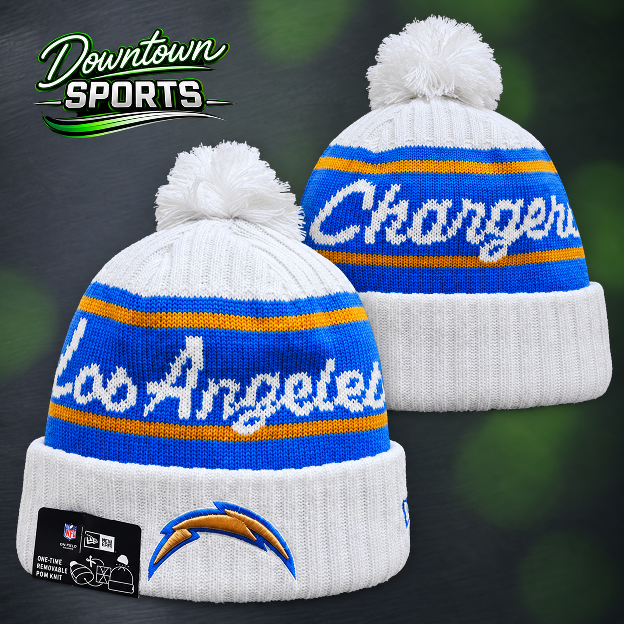 chargers 7.png