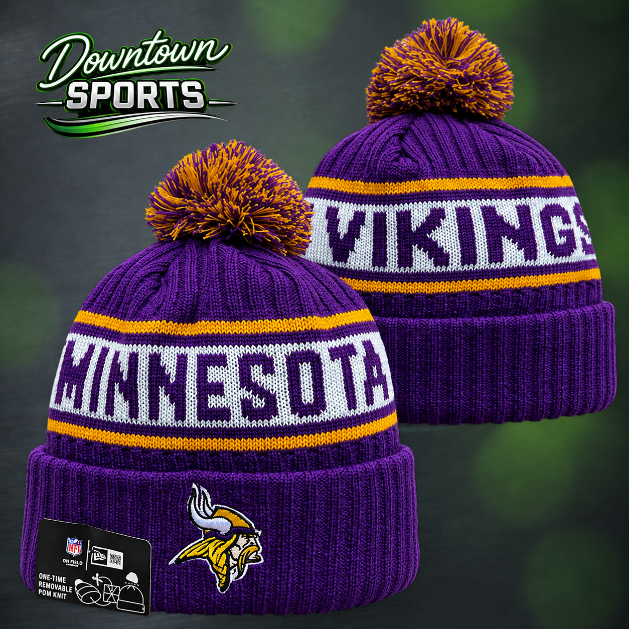 vikings 7.png
