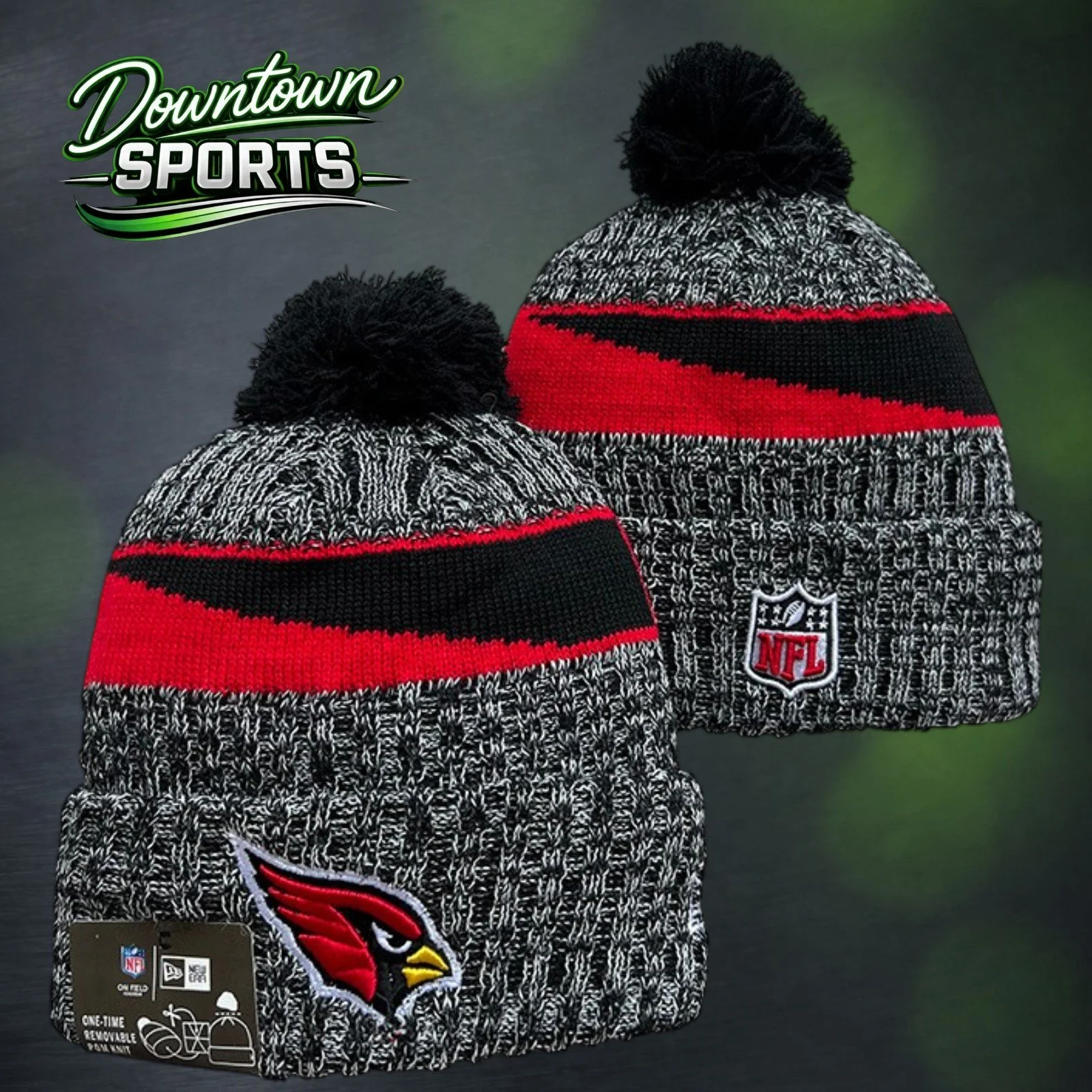 Cardinals 2.jpg