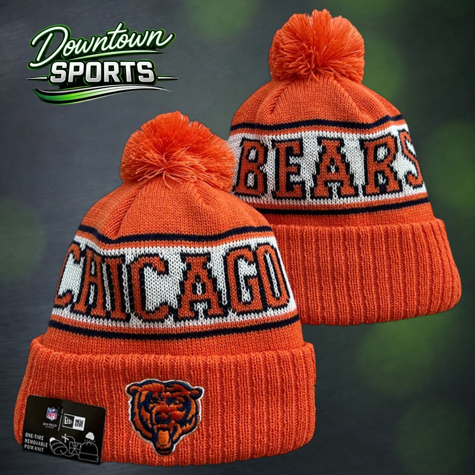 Bears 2.jpg