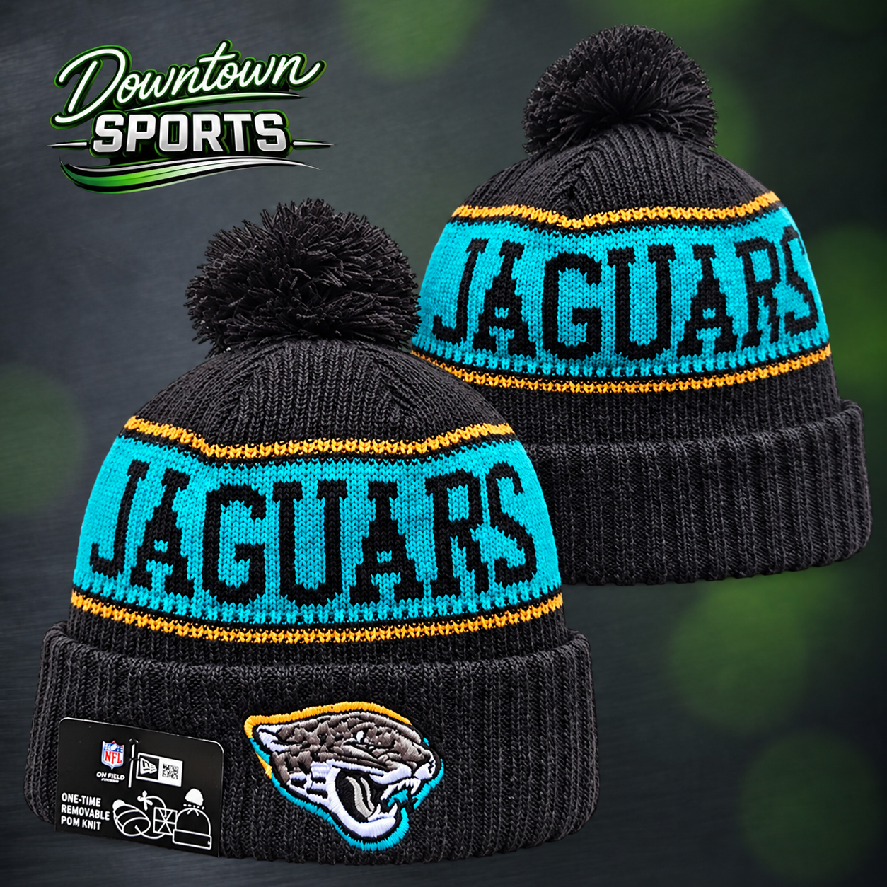 jaguars 5.png