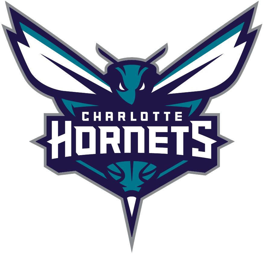 Charlotte Hornets team logo featuring a fierce hornet with wings spread, with the team name in stylized font.