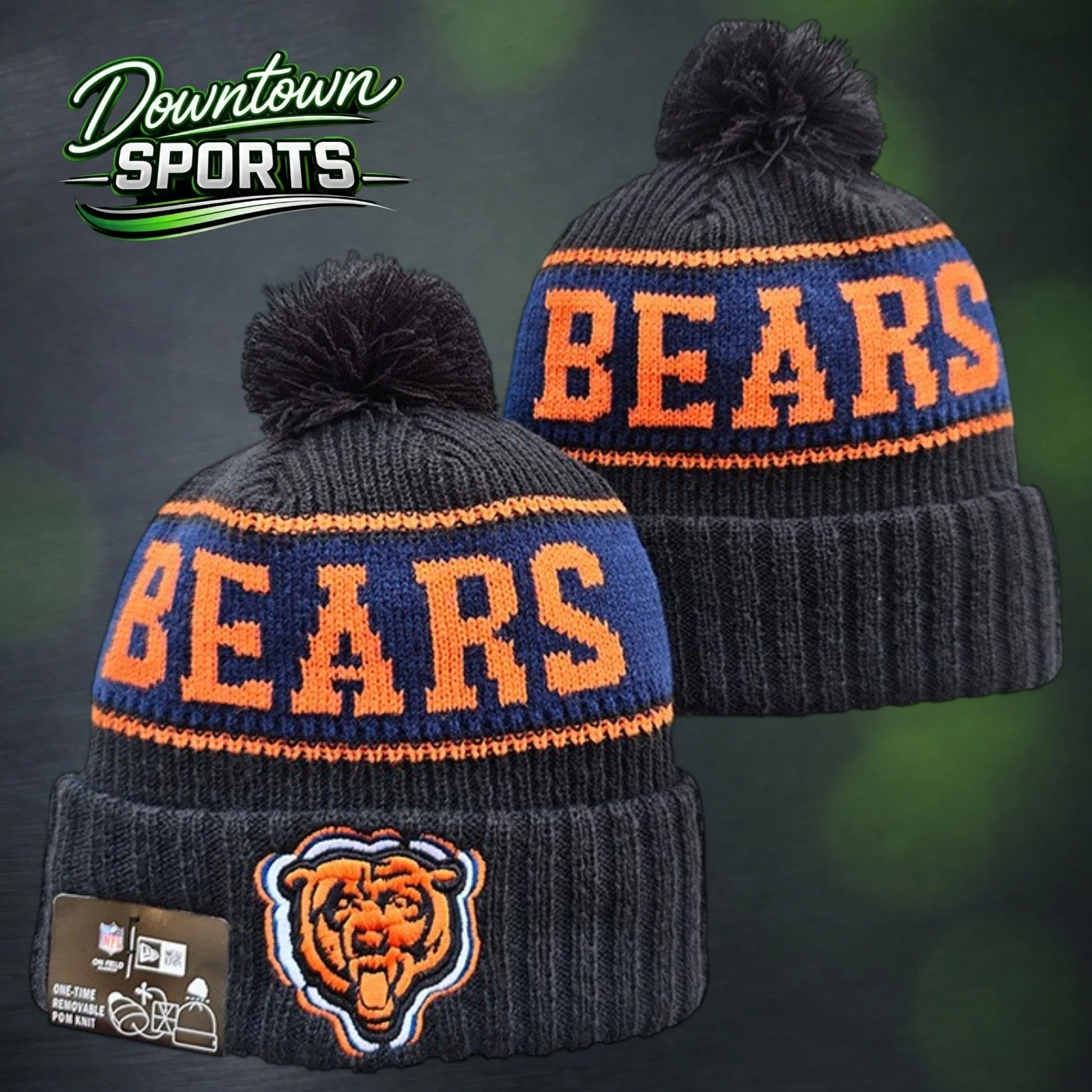 Bears 9.jpg