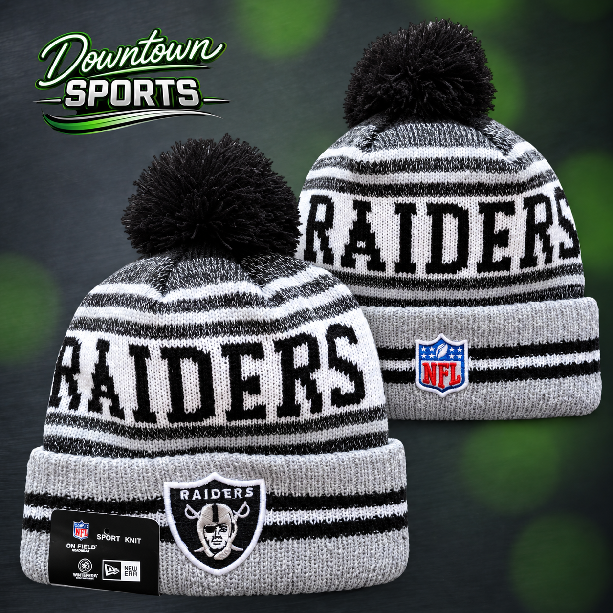 raiders 12.png
