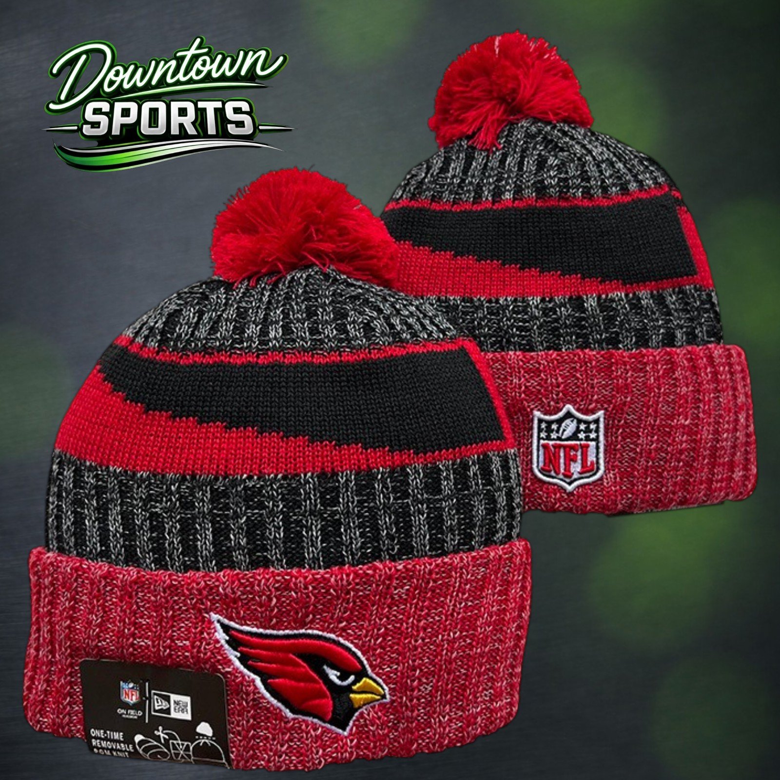 Cardinals 3.jpg
