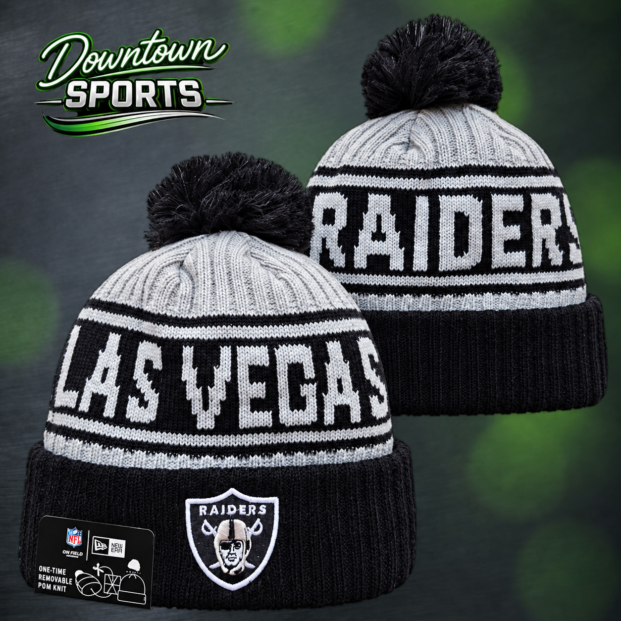 raiders 3.png